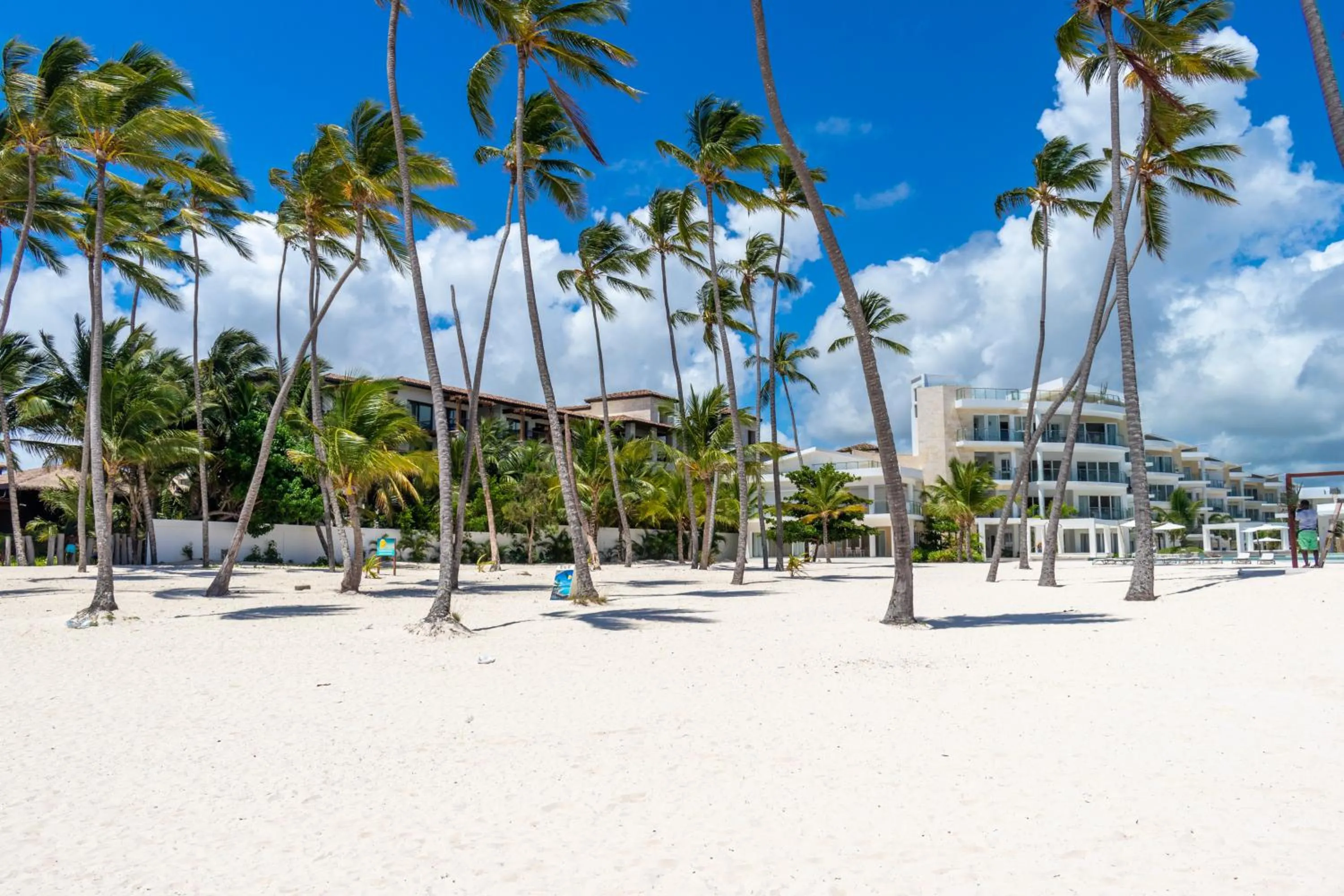 Garden in Family Getaway Apartment - Right On The Beach