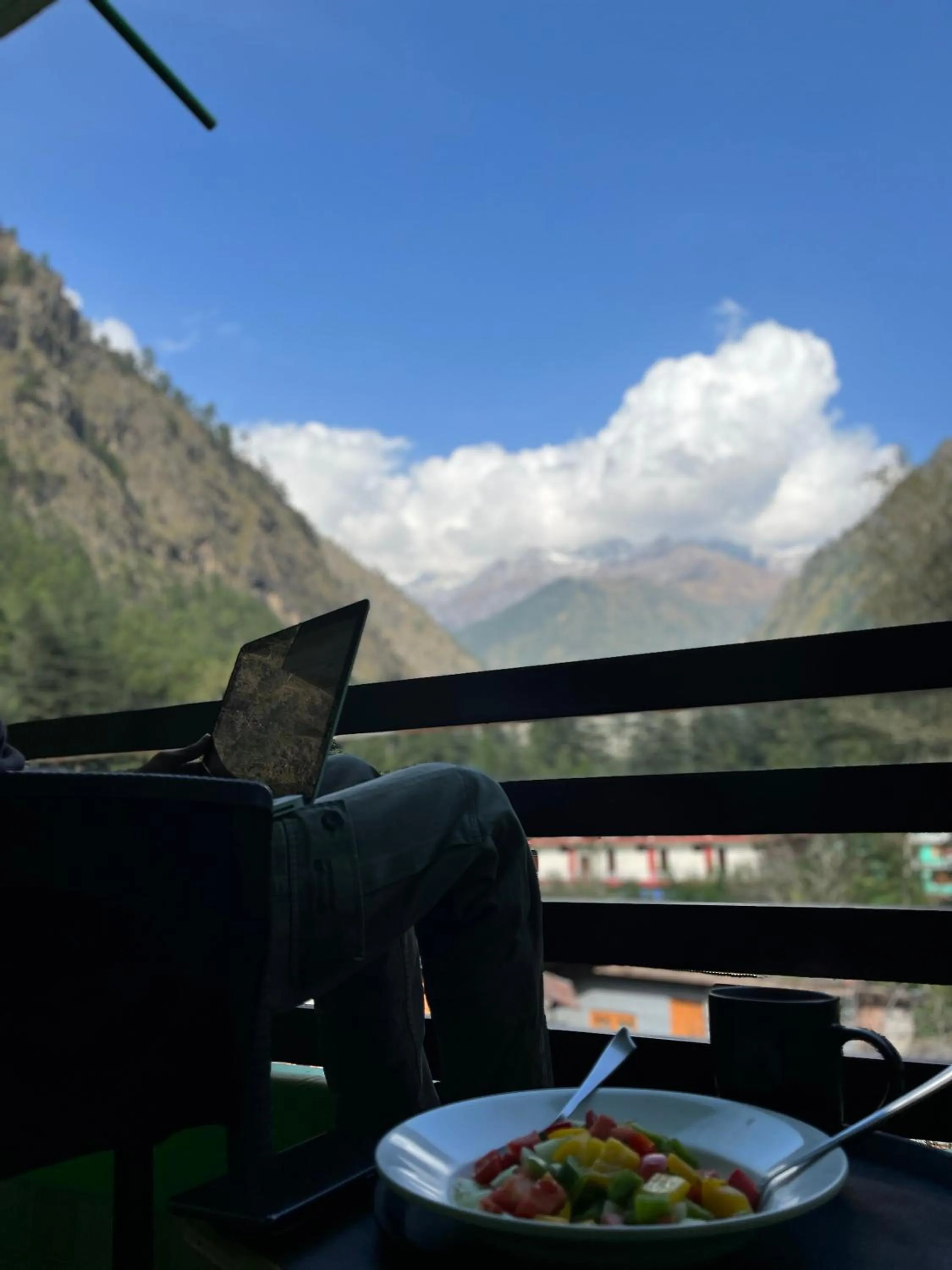 Mountain view in The Royal Orchard Kasol
