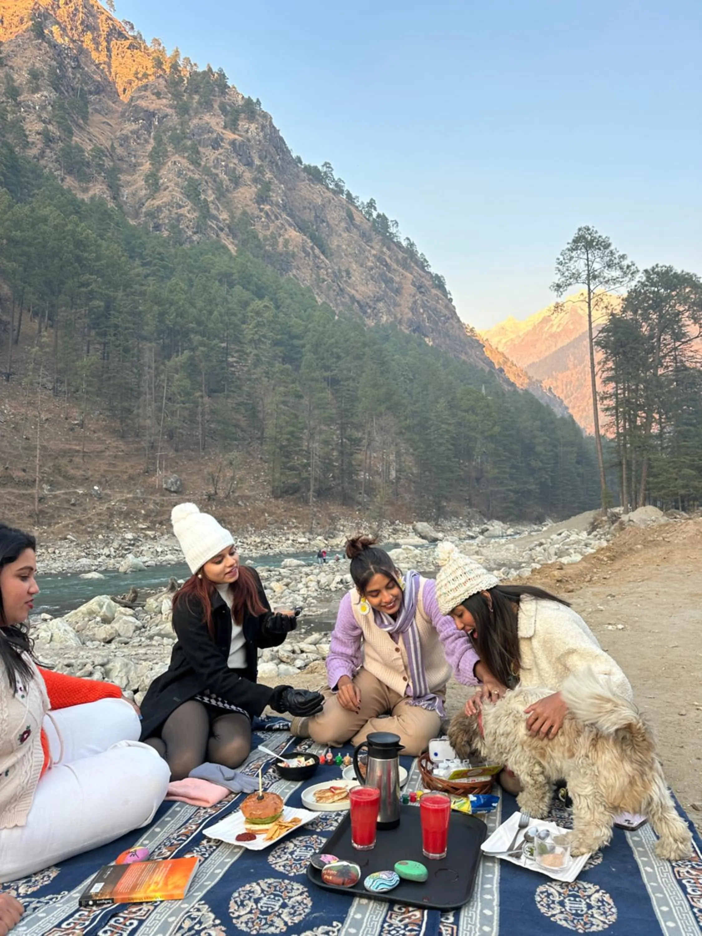 River view in The Royal Orchard Kasol