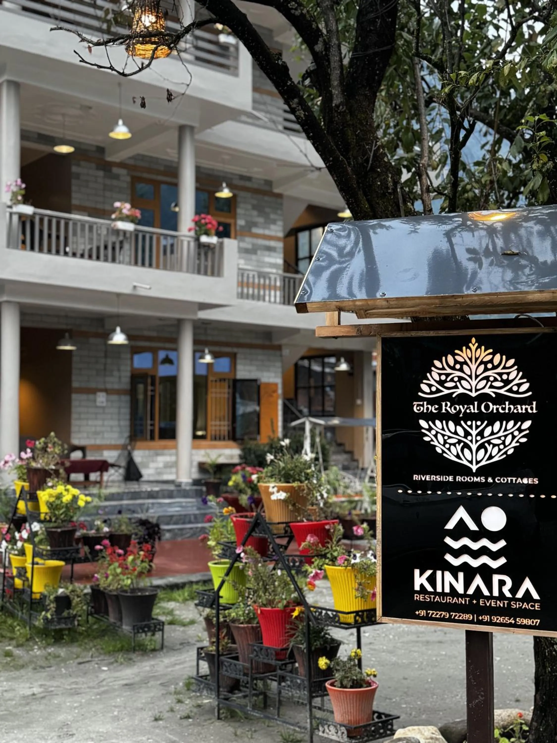 Restaurant/places to eat in The Royal Orchard Kasol