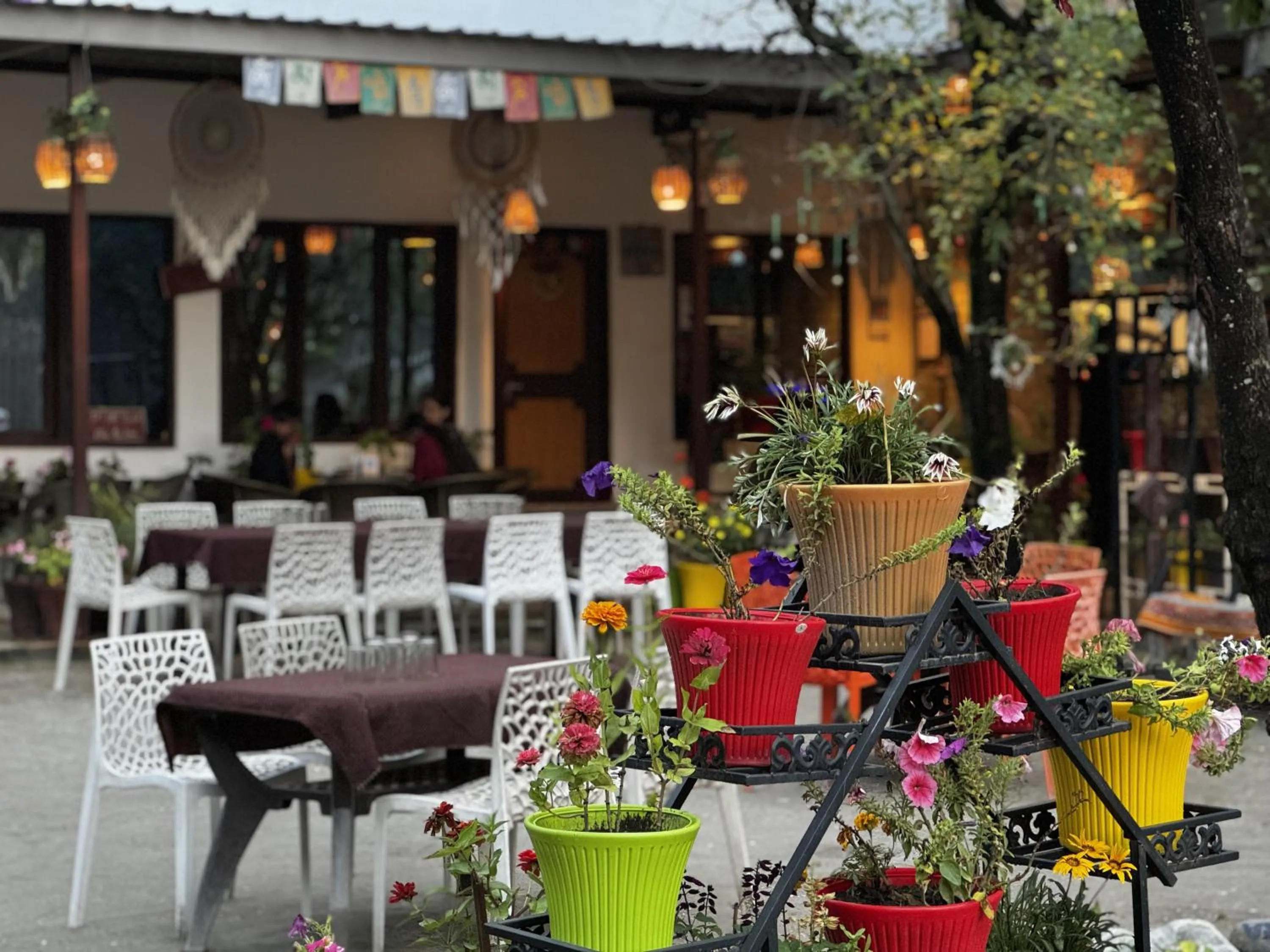 Restaurant/places to eat in The Royal Orchard Kasol