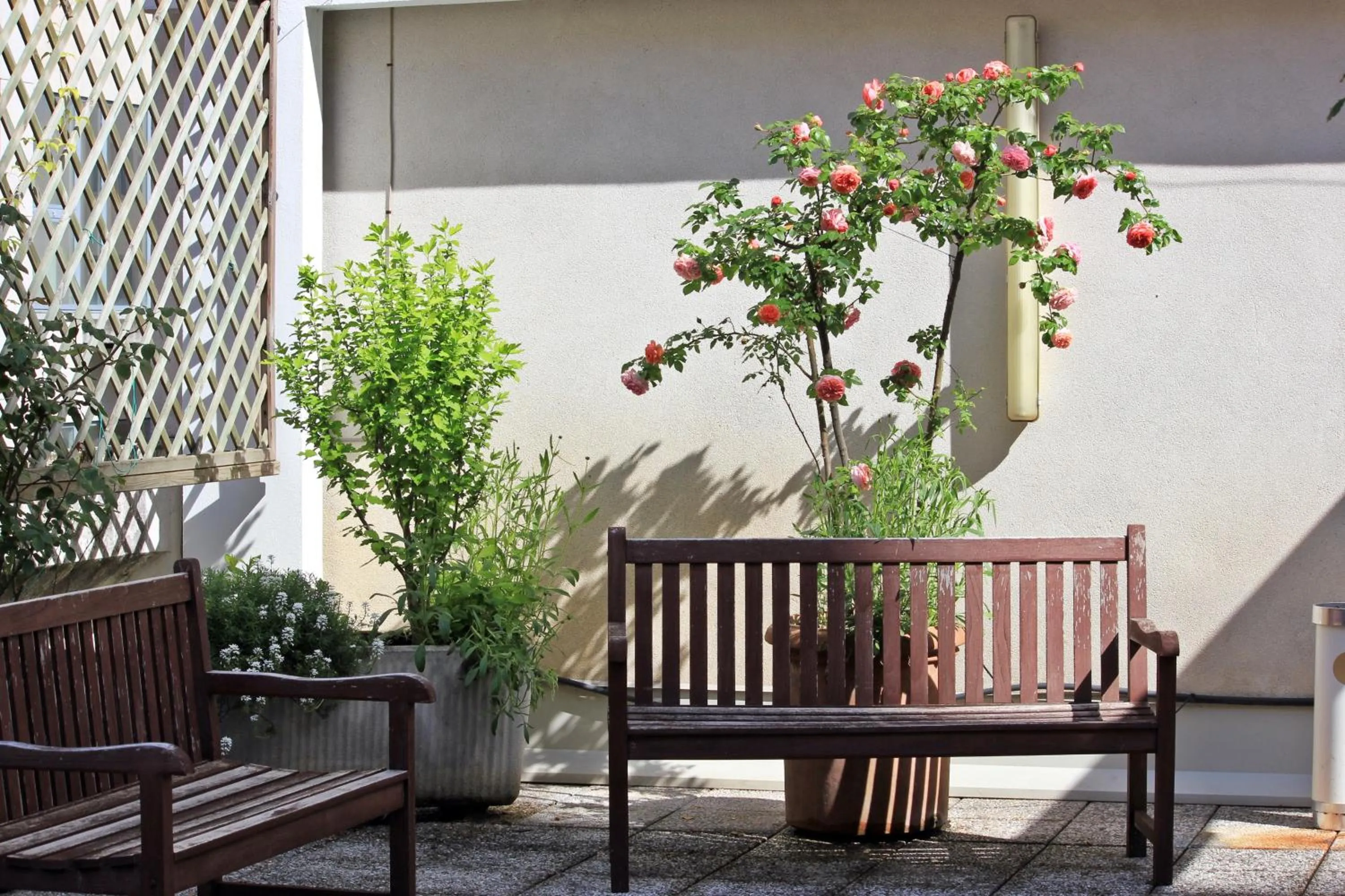 Patio in Albergo Residence Italia Vintage Hotel