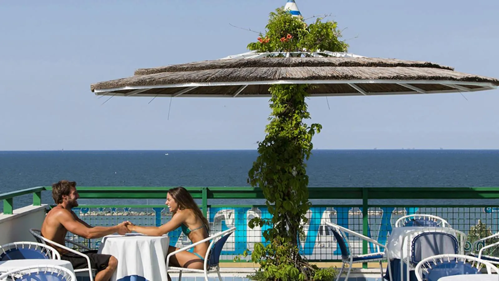 Balcony/Terrace in Hotel Wivien