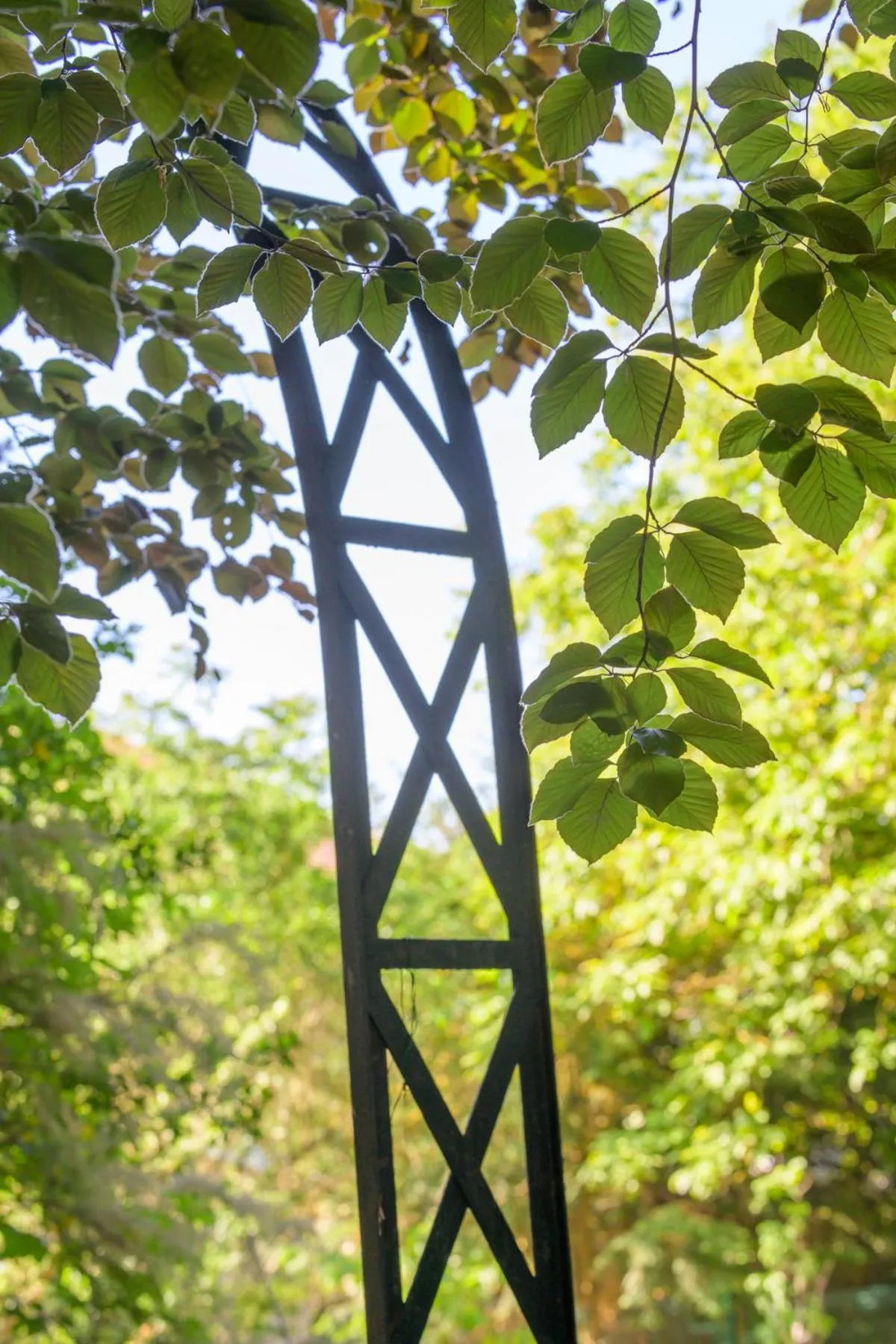 Garden in Logis HOTEL DU PARC