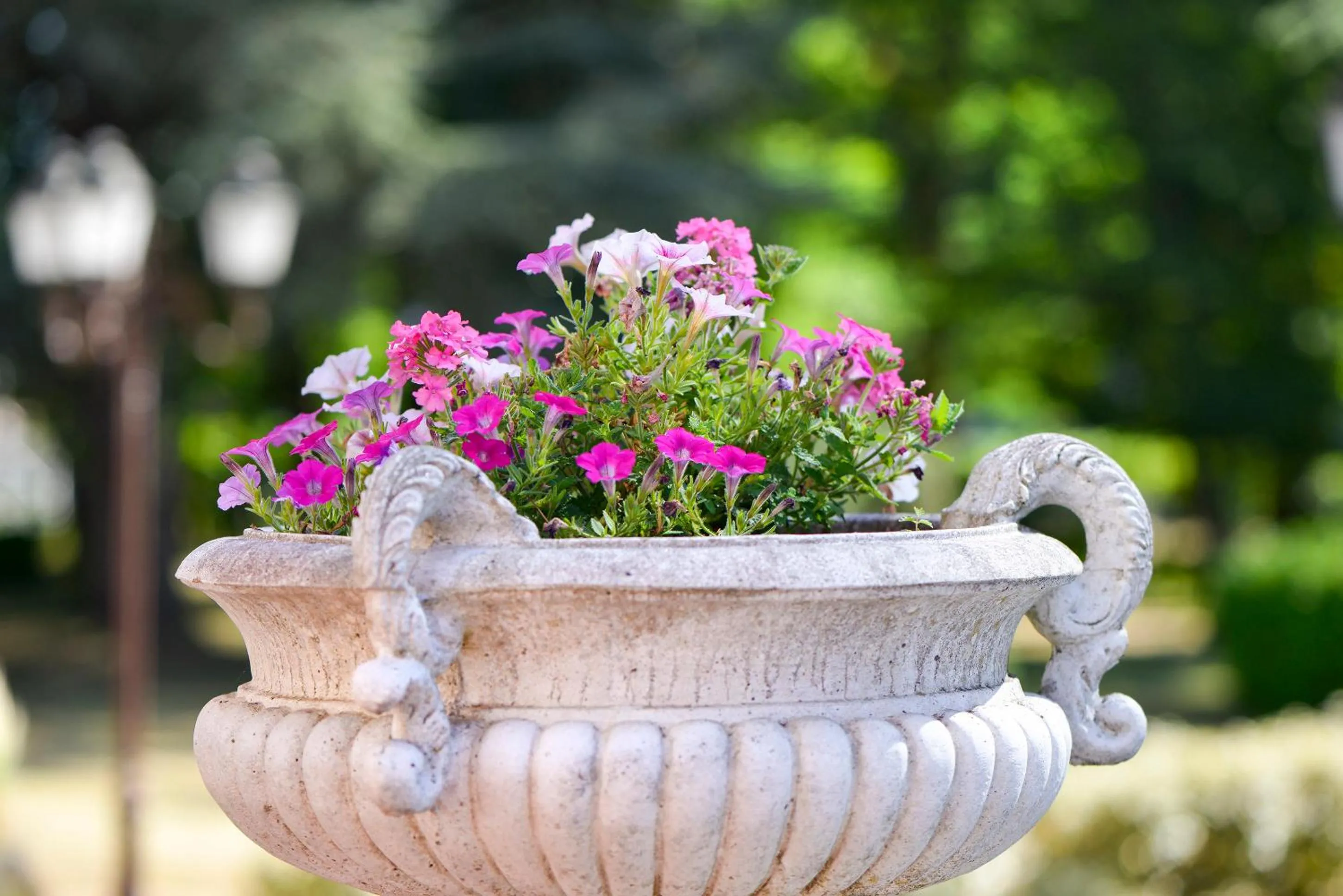 Patio in Logis Hôtel Restaurant Le Parc