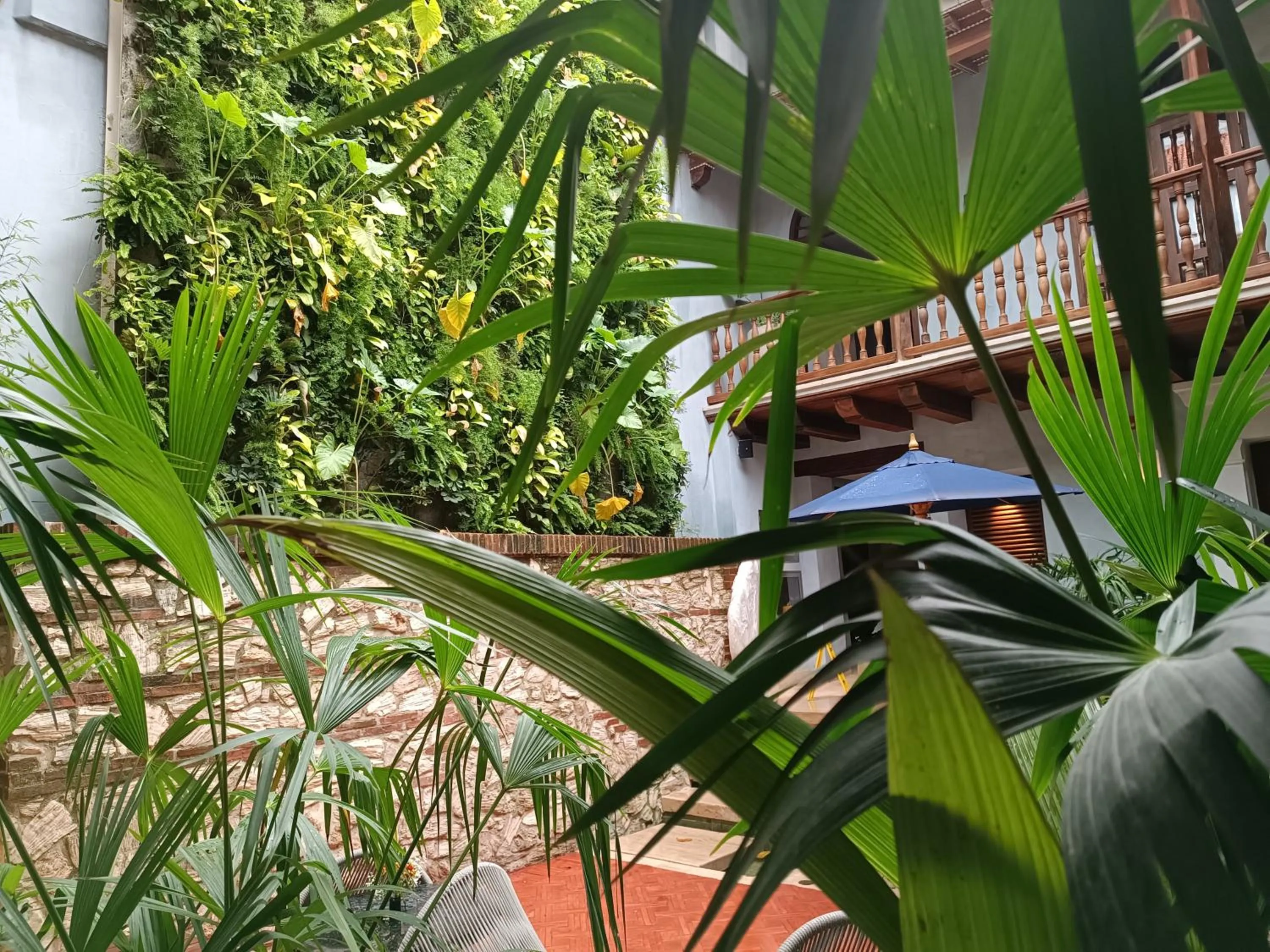 Garden in Hotel Casona del Porvenir