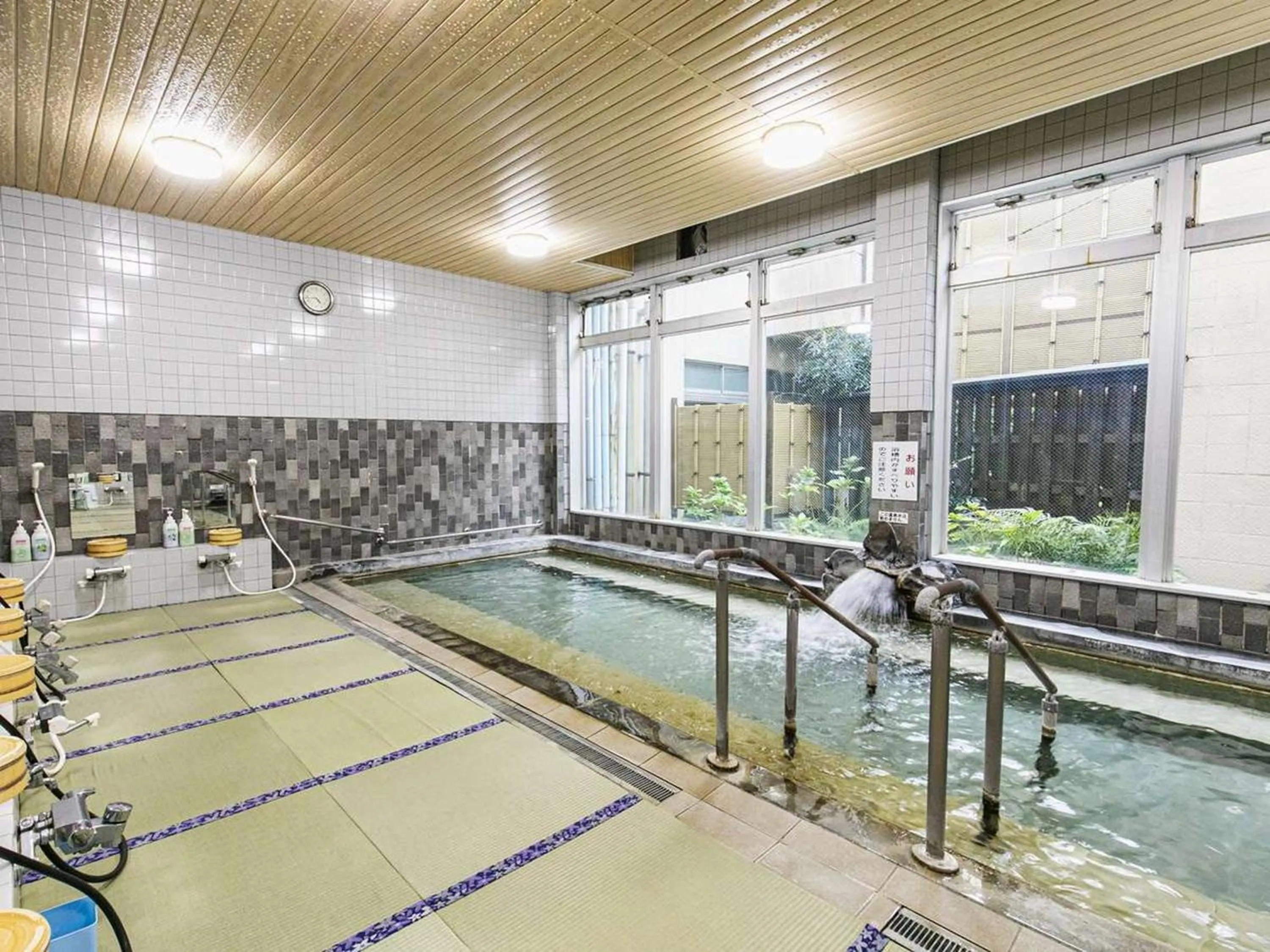 Hot Spring Bath in Hatsuneso Shinkan
