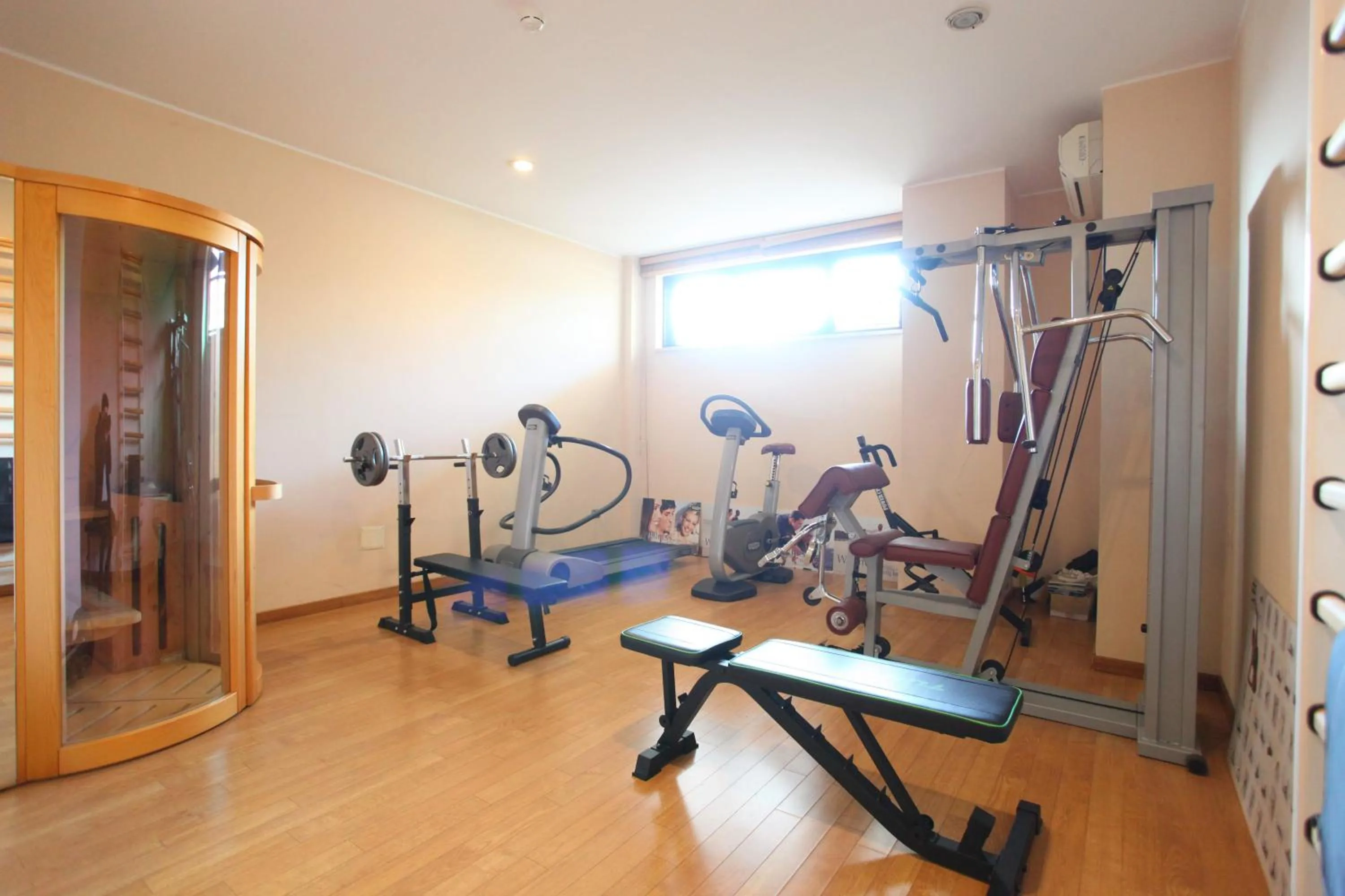 Fitness centre/facilities in Altea Suites
