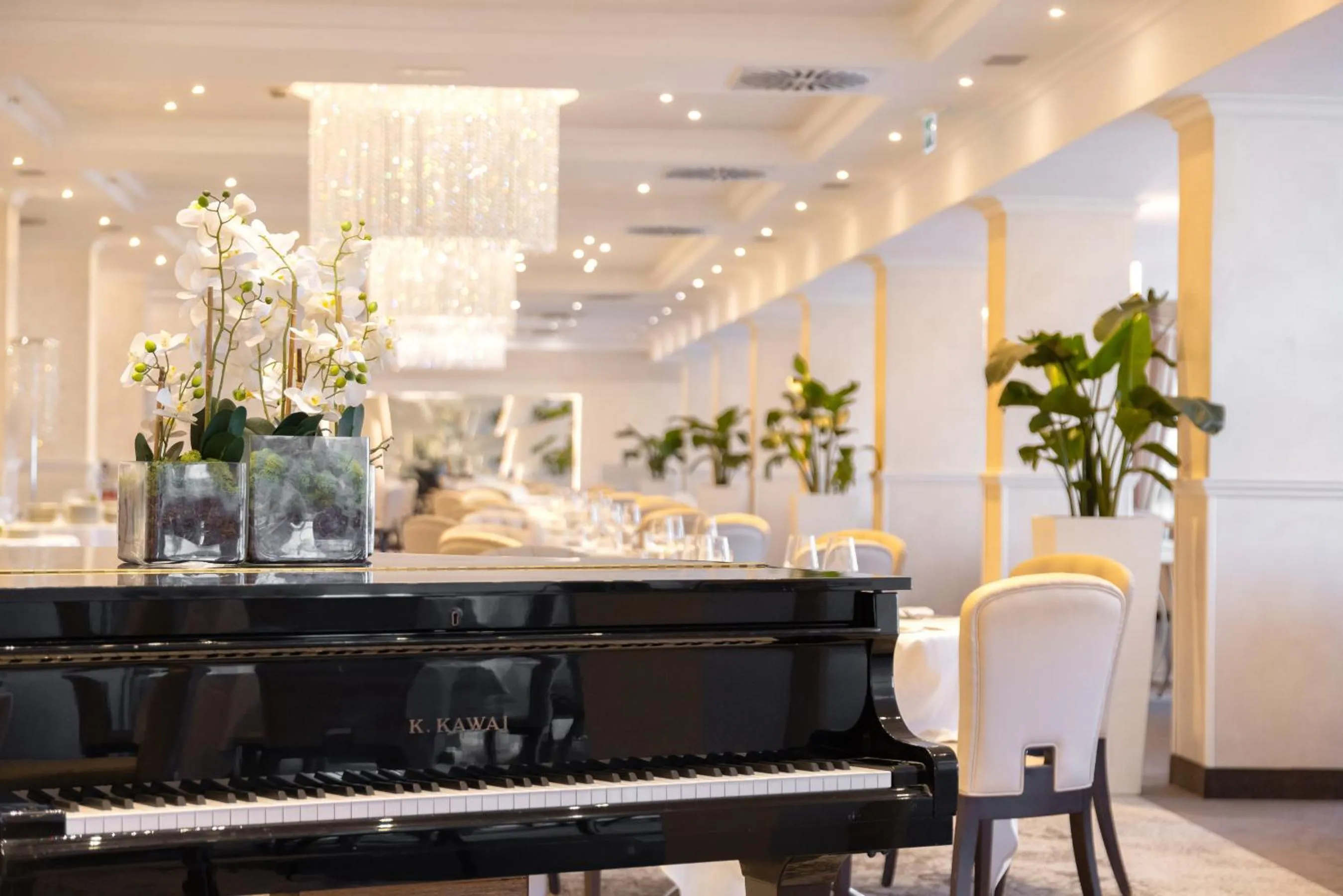 Restaurant/places to eat in Hotel Sporting