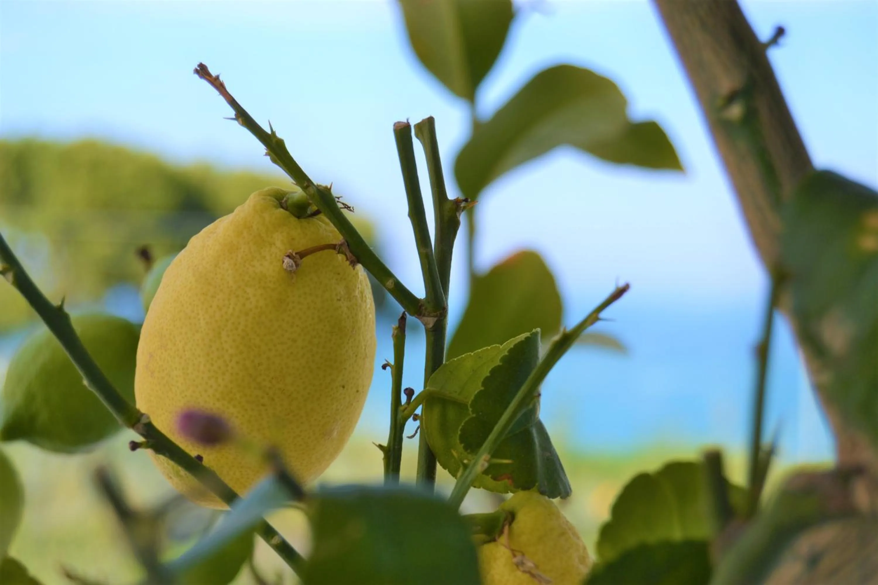 Natural landscape in La Chiave dei Trabocchi