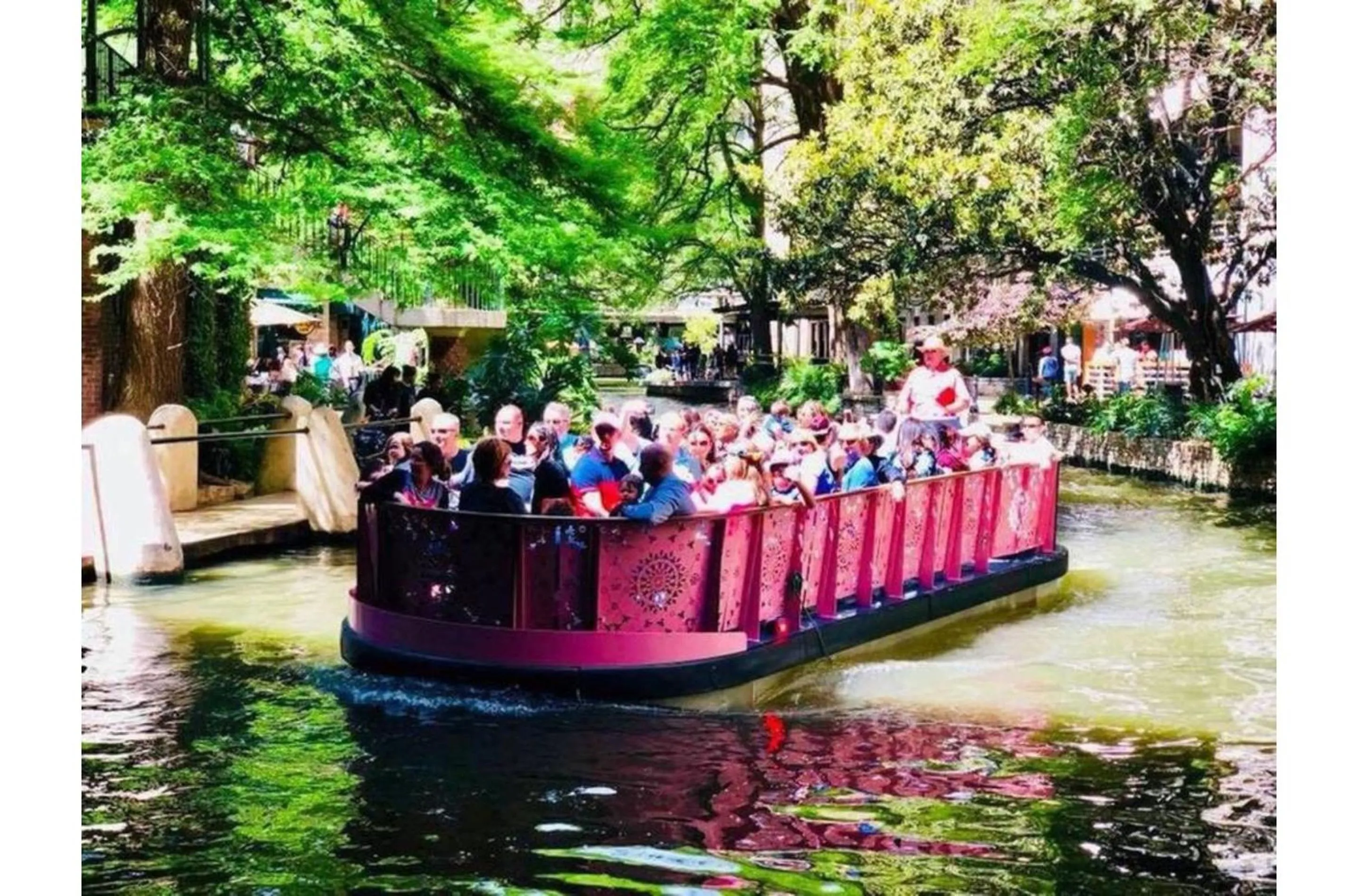 Stunning Cozy Downtown Guesthouse