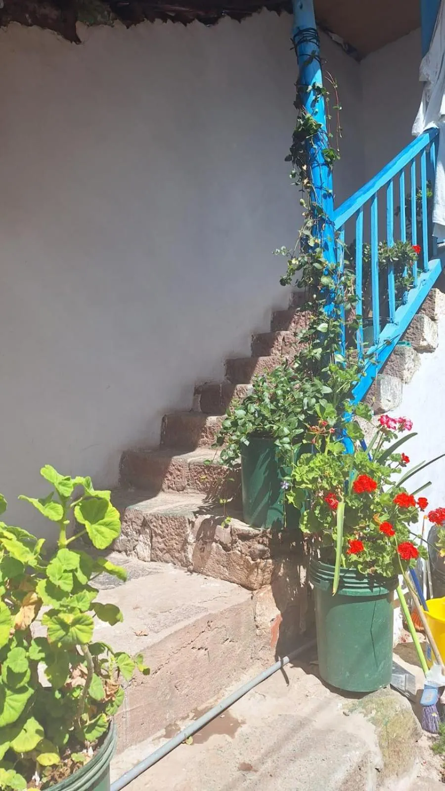 Day in Barrio Inka B&B