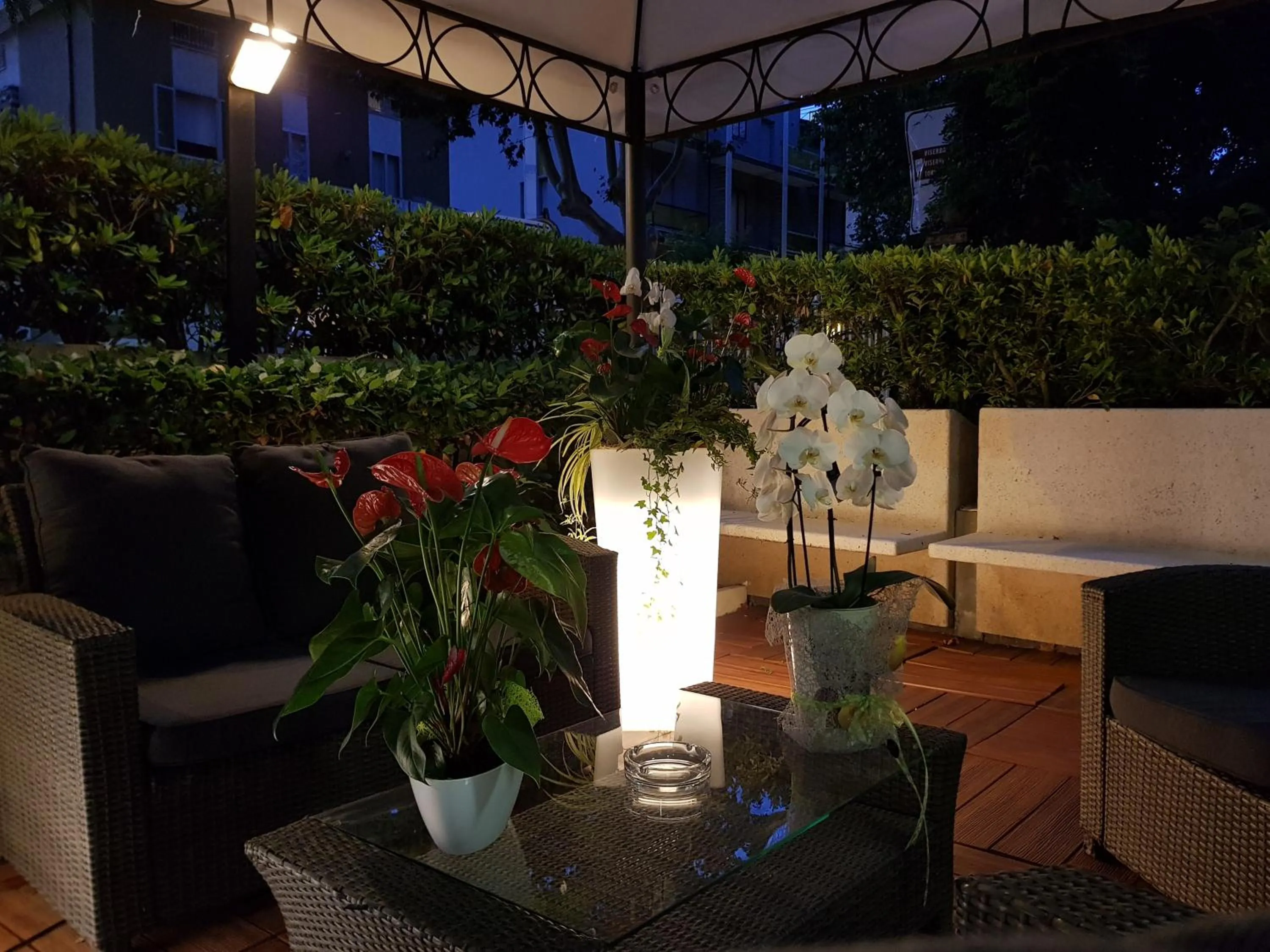 Garden in Hotel Beppe