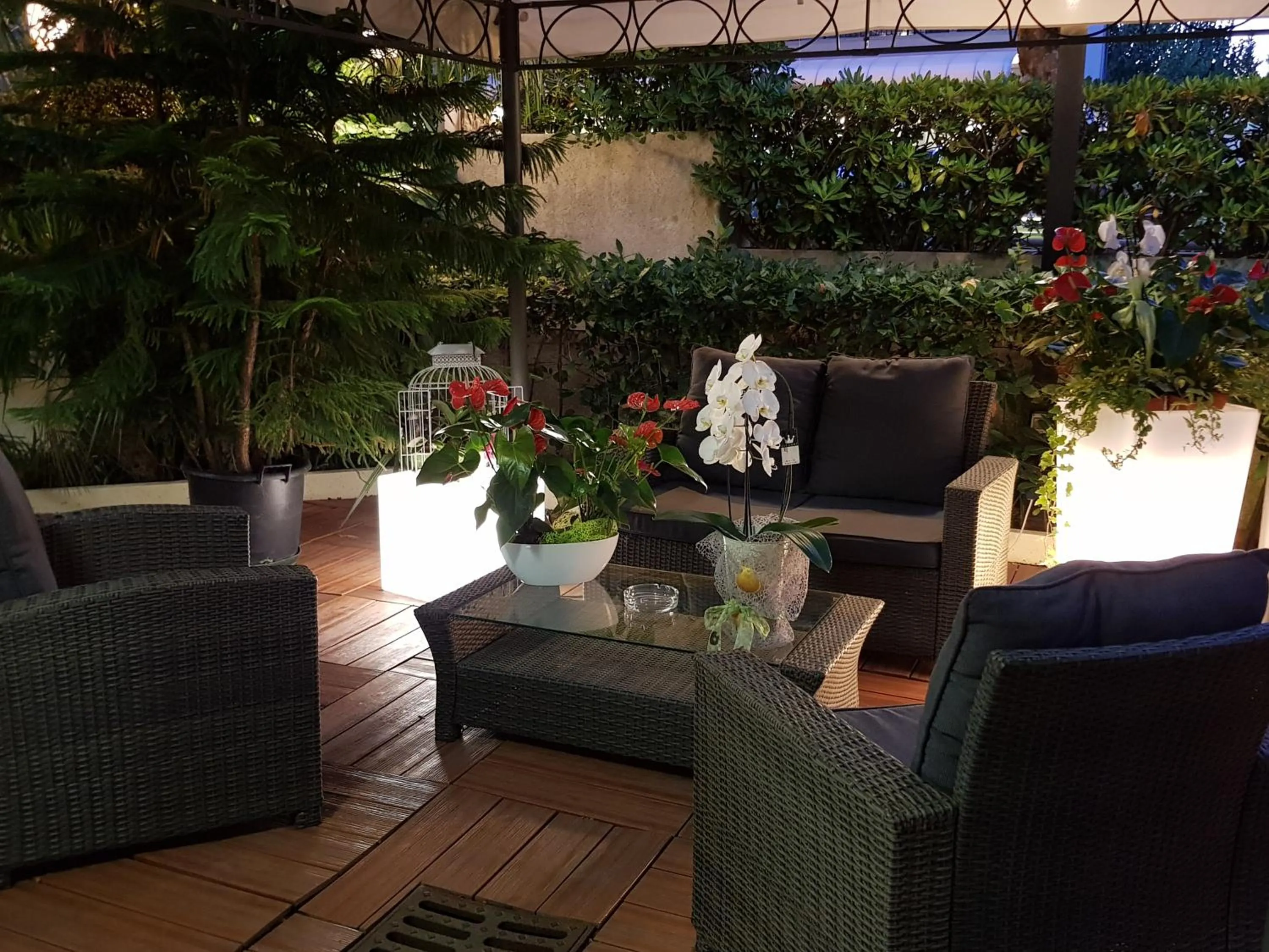 Garden in Hotel Beppe