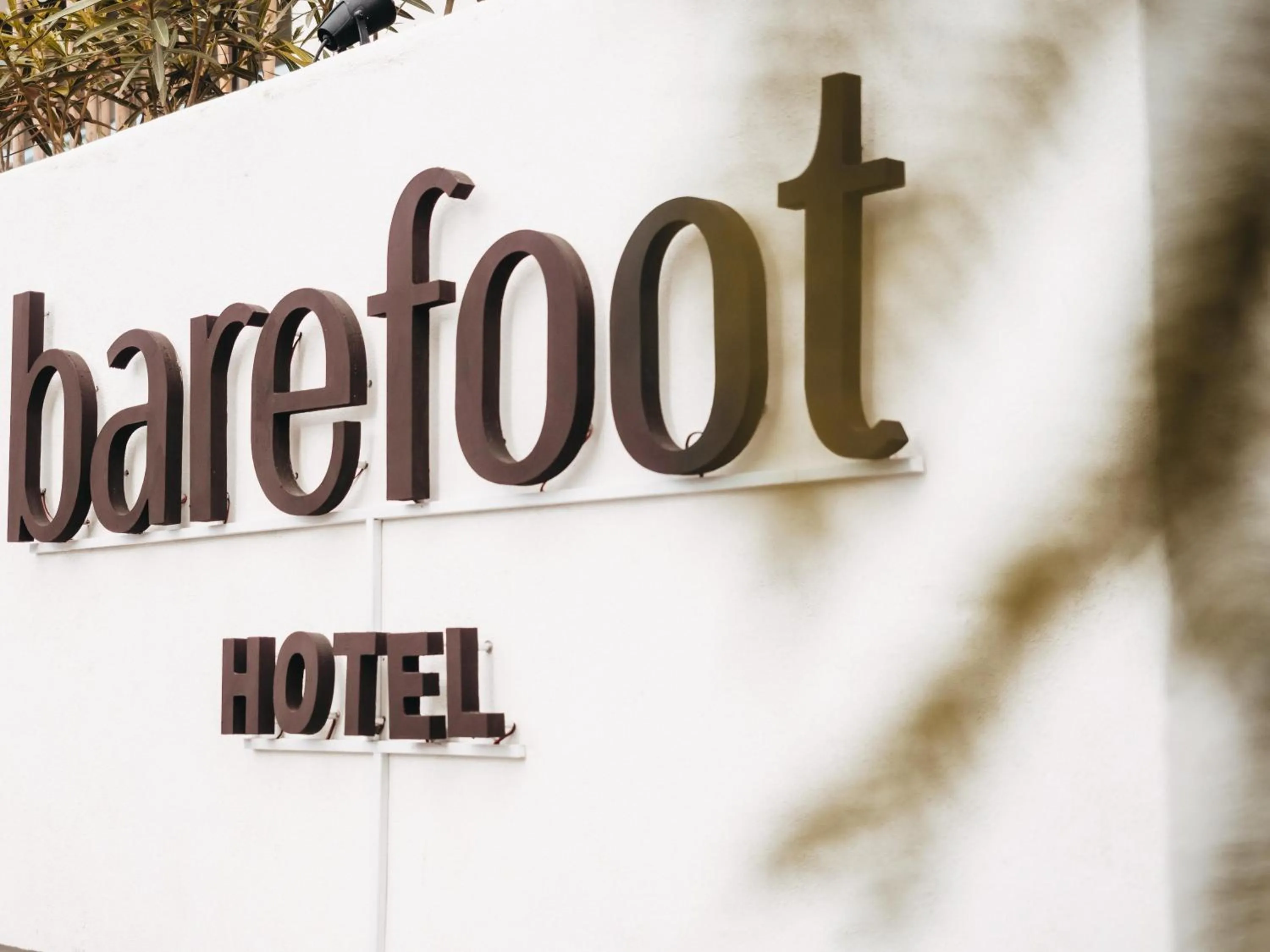 Area and facilities in Barefoot Hotel Mallorca
