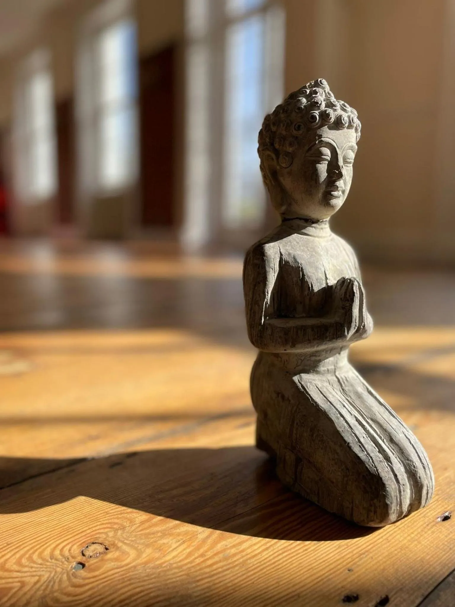 Activities in The Retreat New Forest