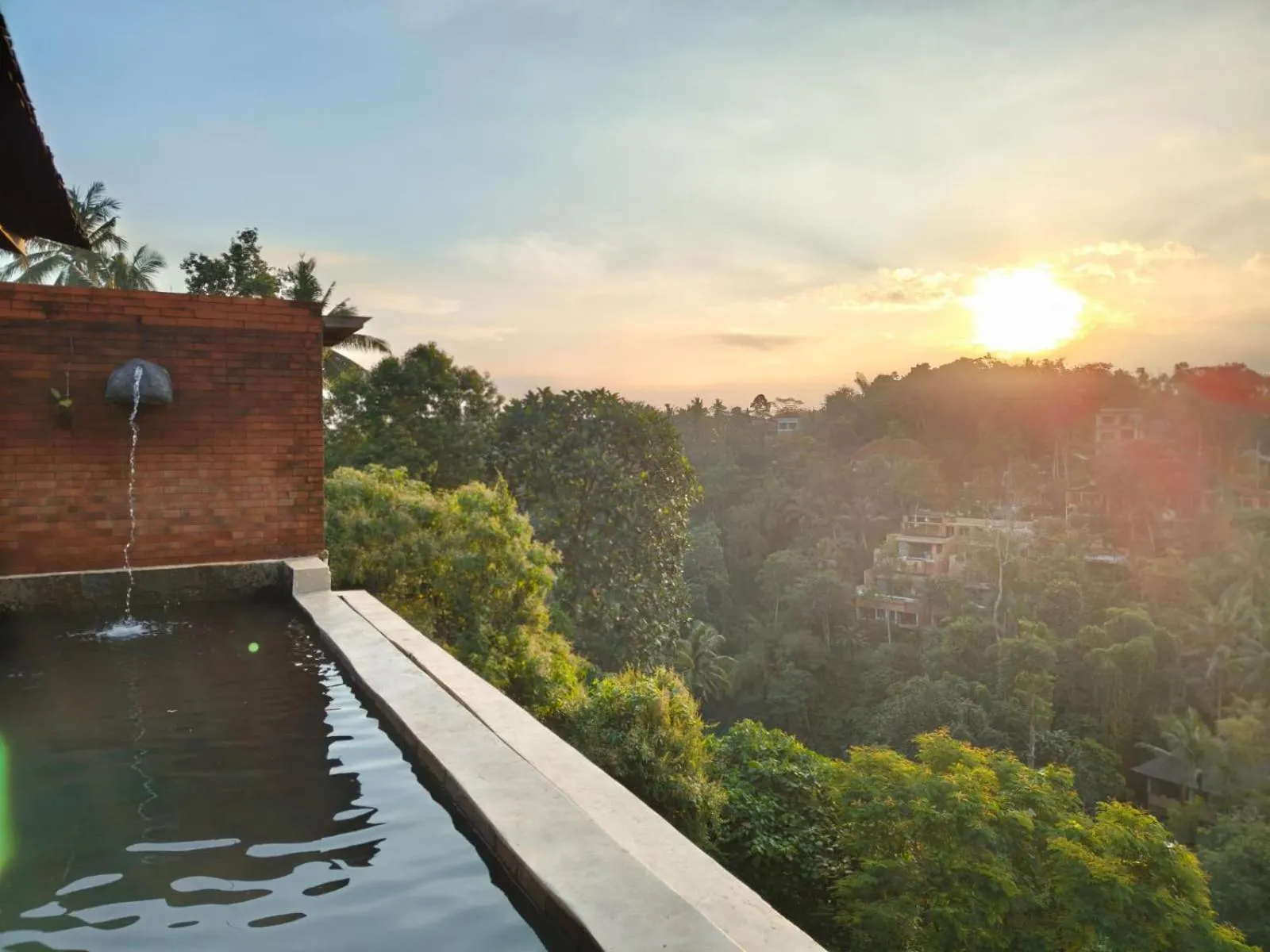 Pool view in Joglo Organik Guesthouse
