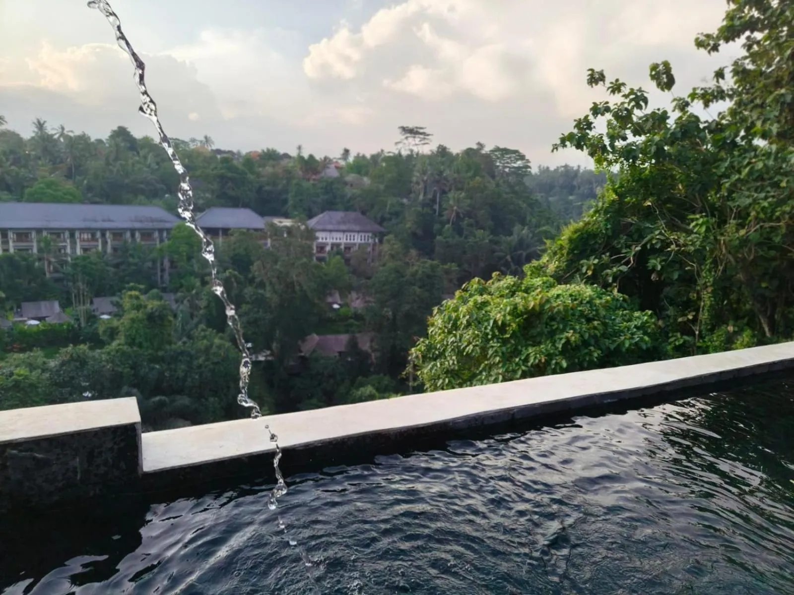 Pool view in Joglo Organik Guesthouse