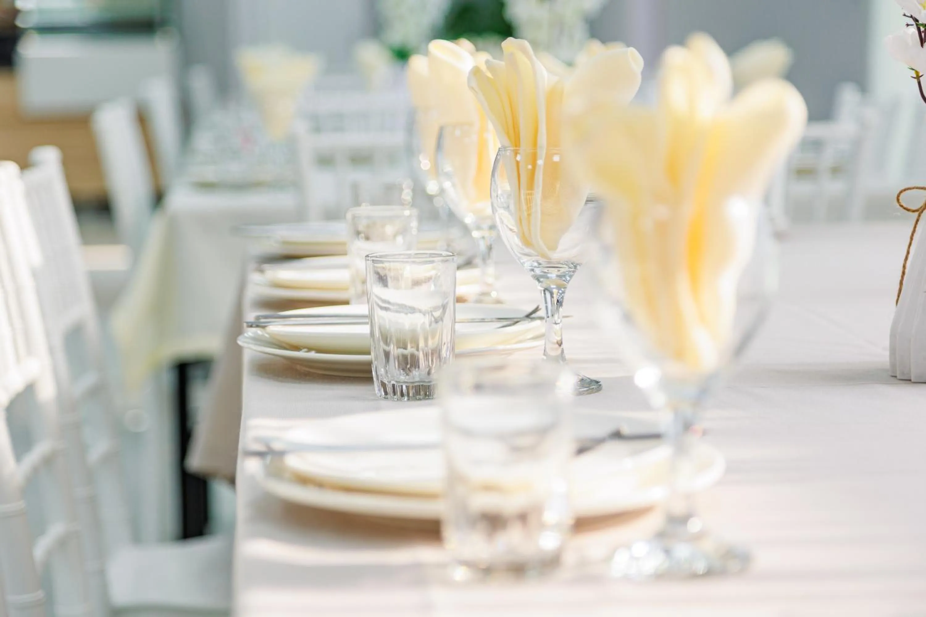 Banquet/Function facilities in Route Hotel