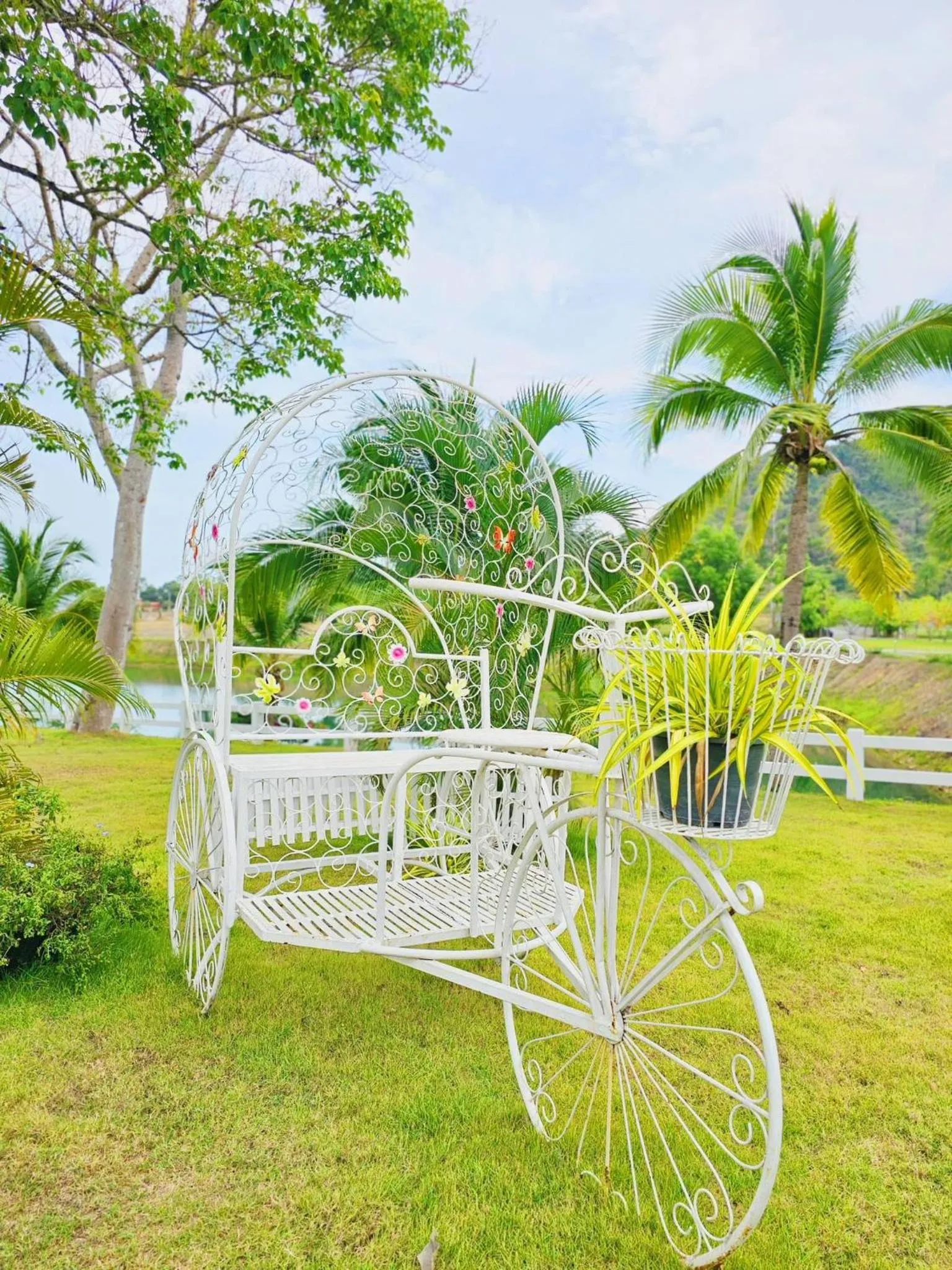 Area and facilities in Grand Lord Hotel & Residence - Pattaya