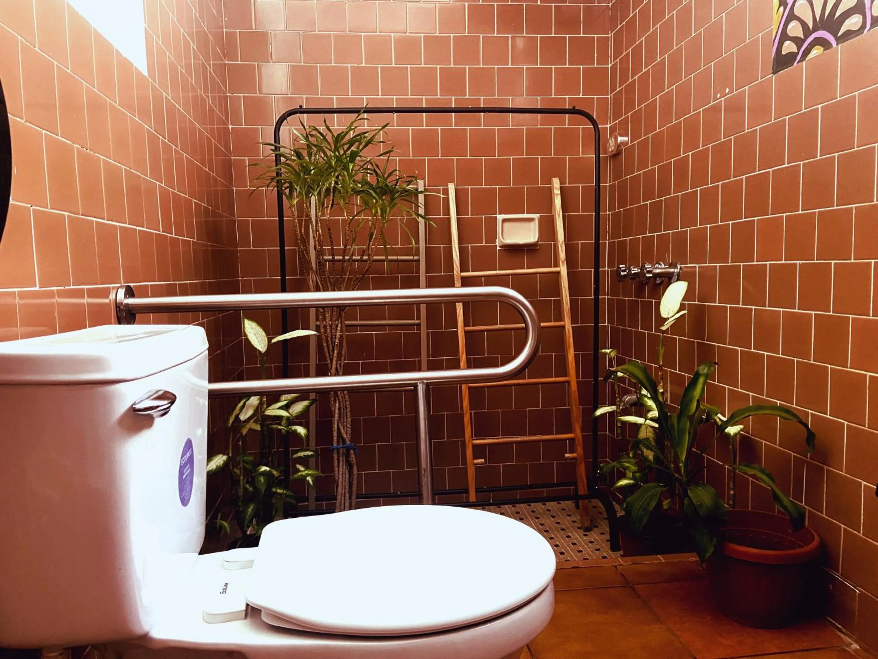 Toilet in Chillout Hostel Barrio Escalante