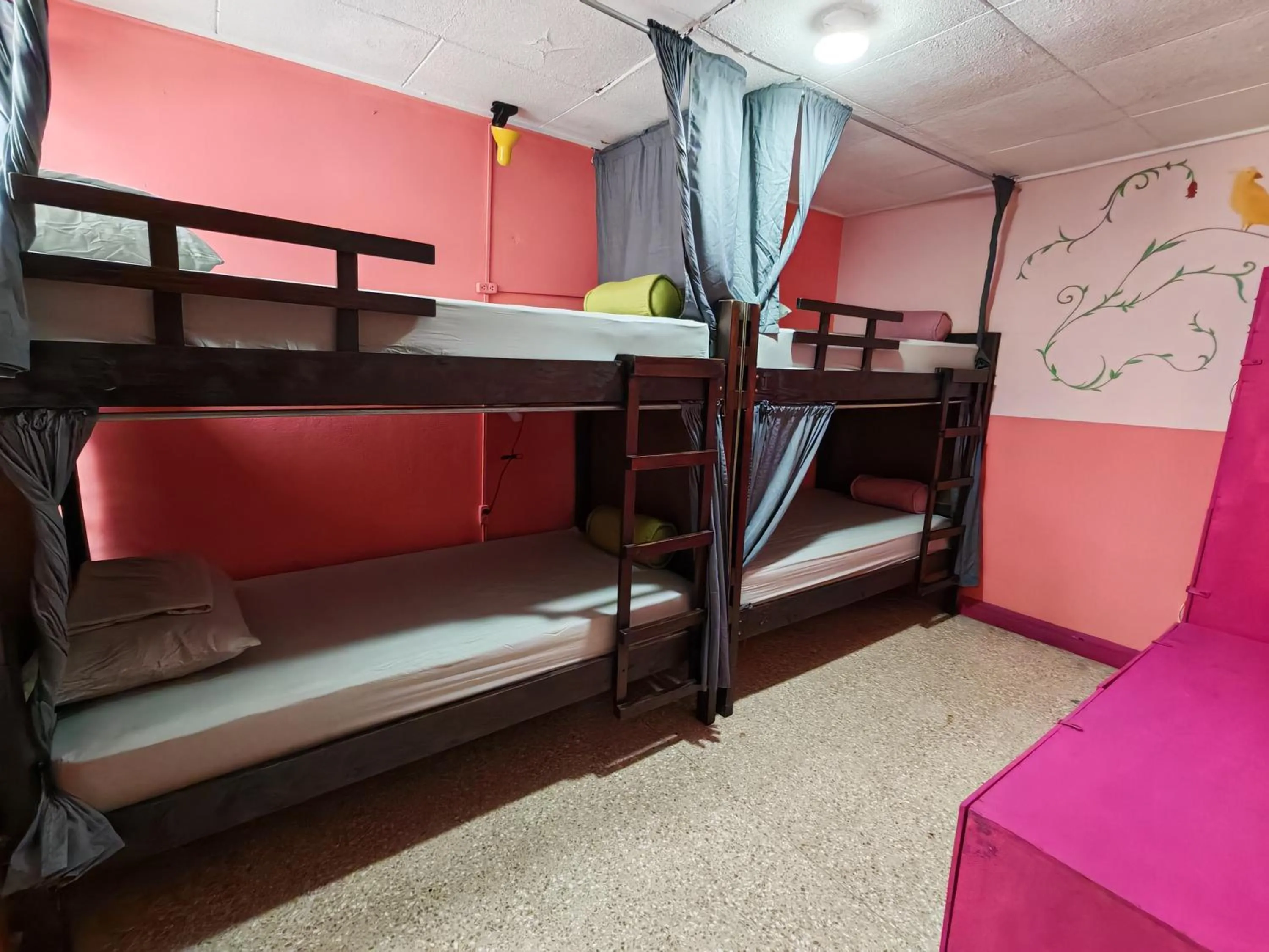 Bed in Chillout Hostel Barrio Escalante