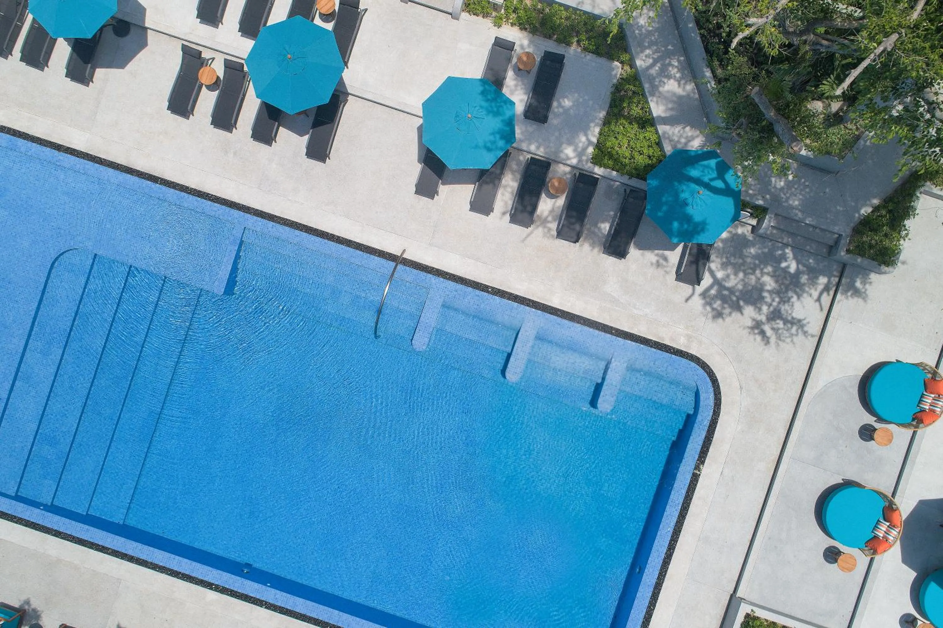 Swimming pool in Avani Chaweng Samui Hotel & Beach Club - Adults Only