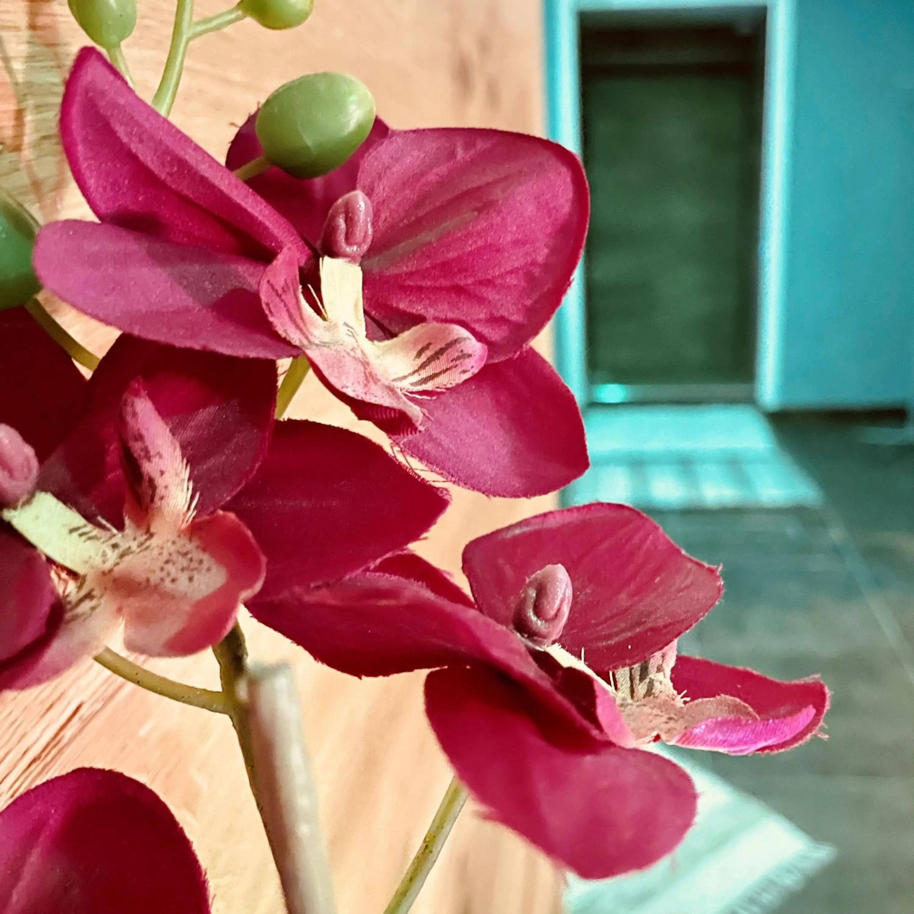 Spa and wellness centre/facilities in Hotel Nordend