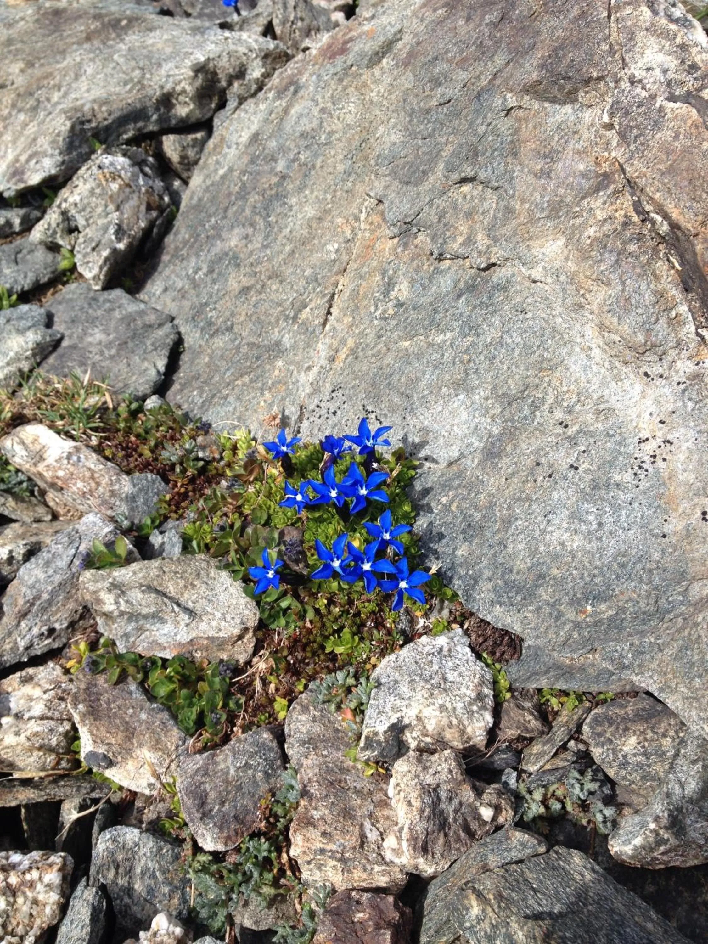 Other in Hotel Nordend