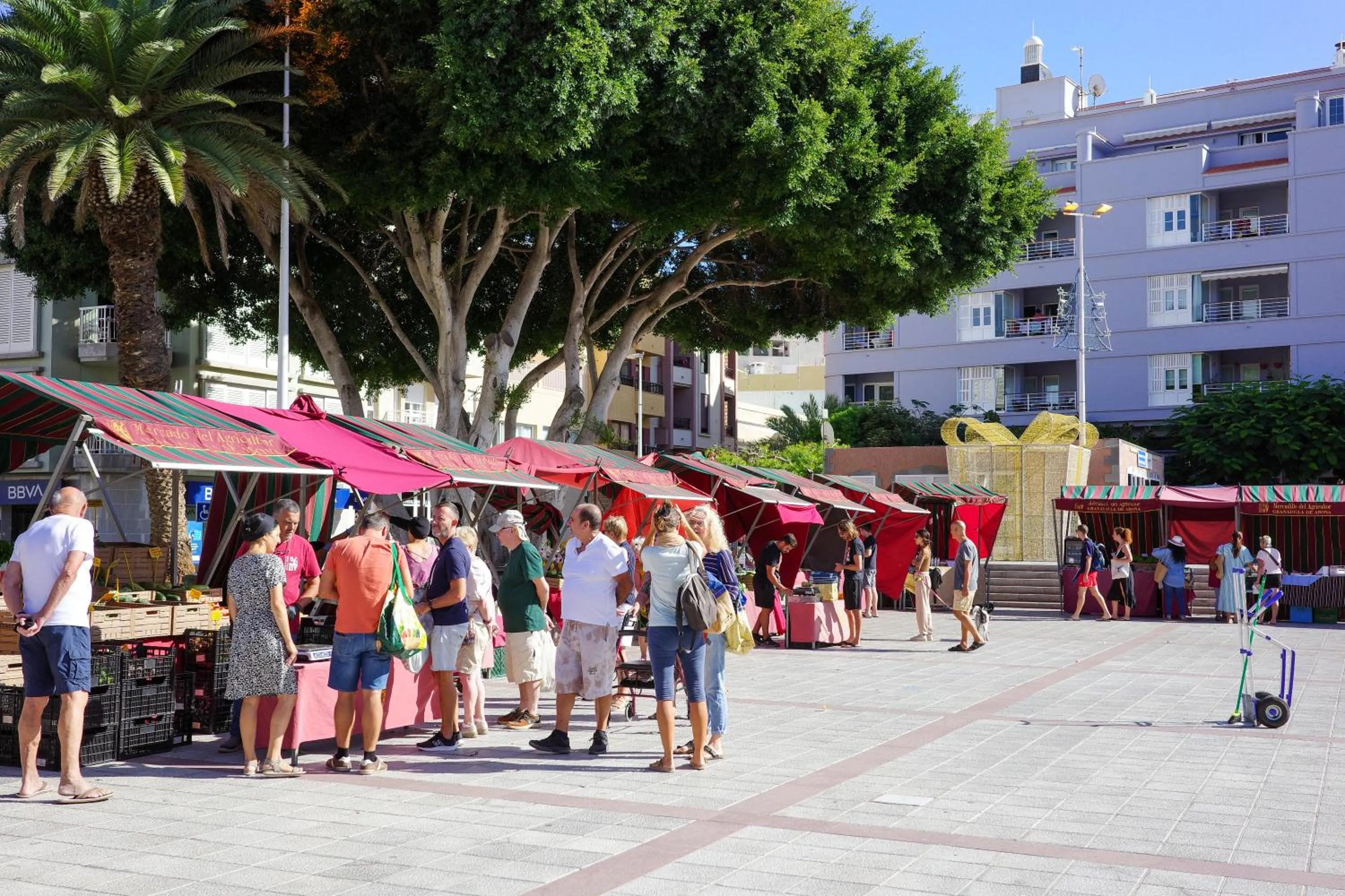 City view in Medano Nest Hostel