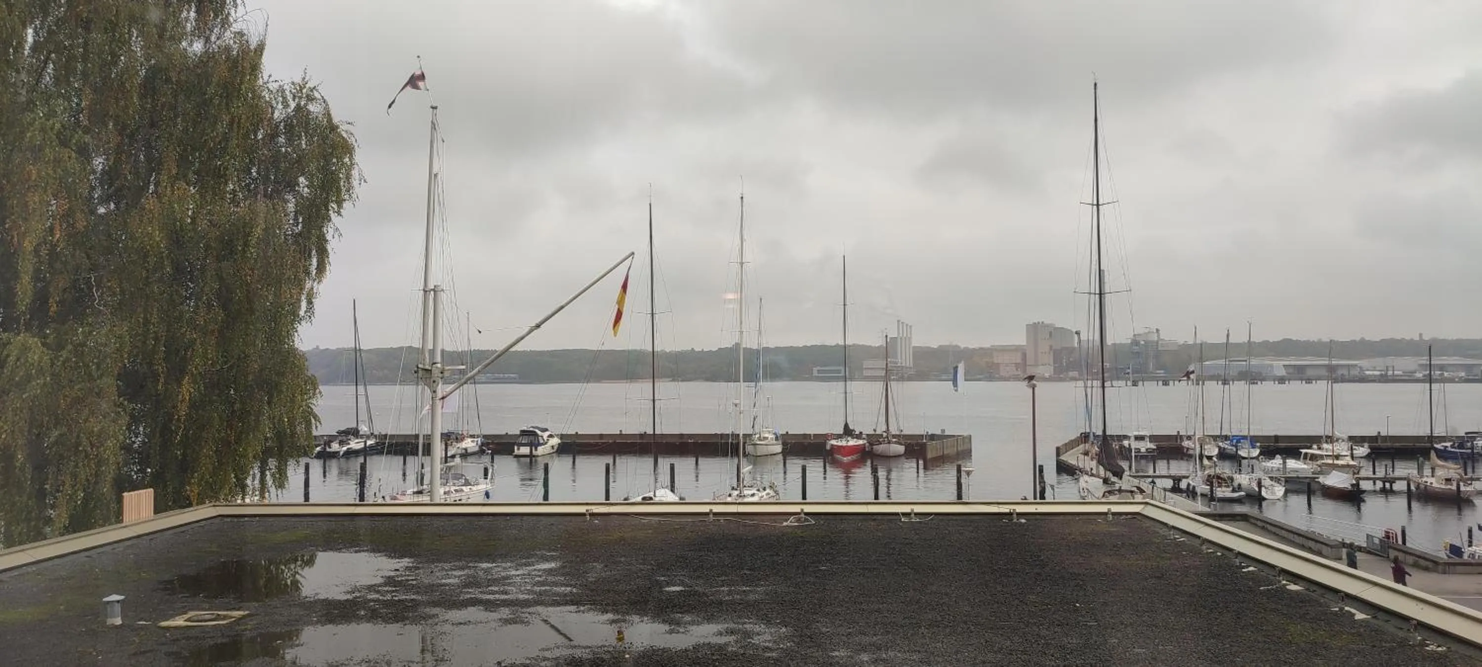 Natural landscape in Hotel Kieler Yacht-Club