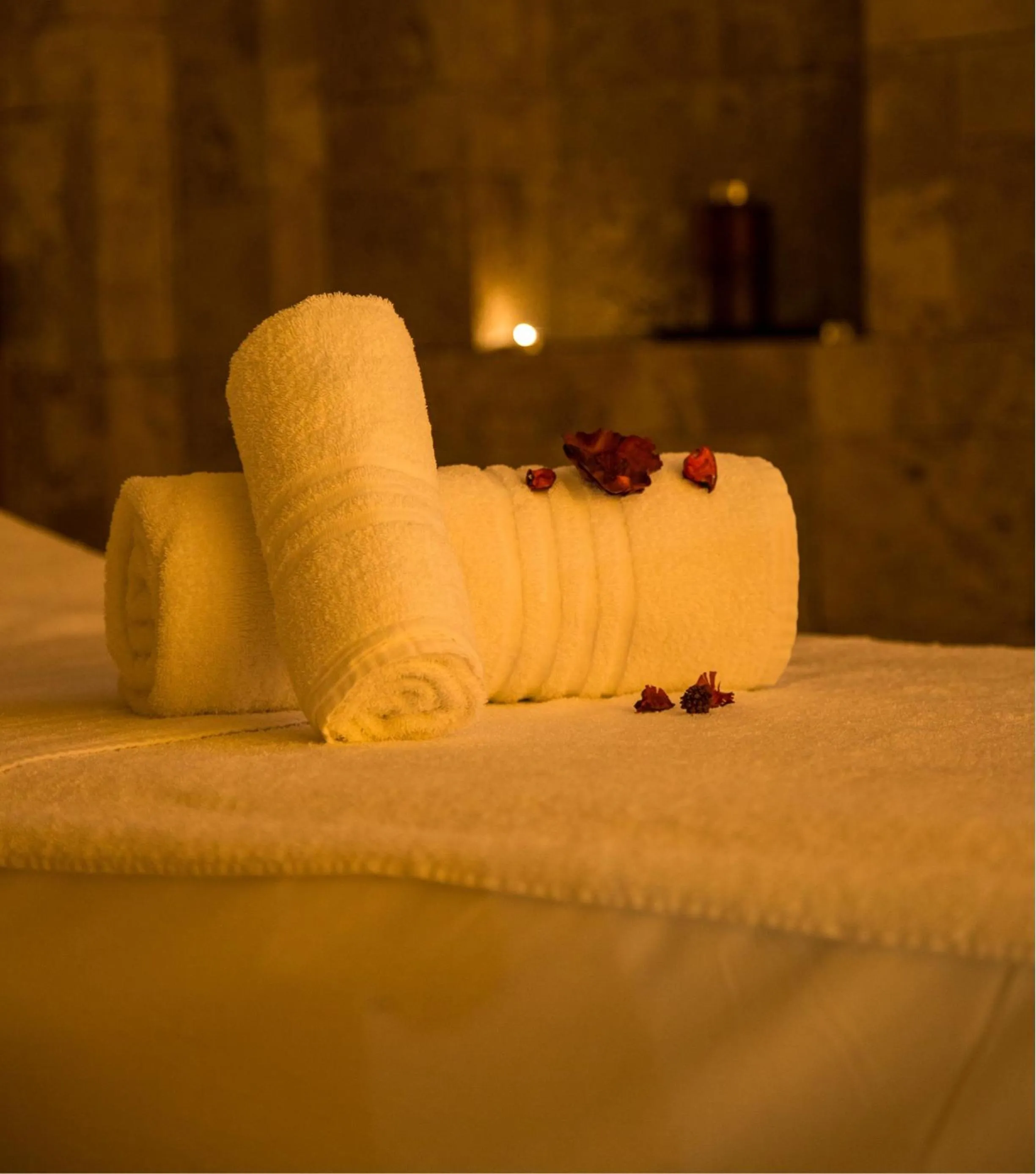 Spa and wellness centre/facilities, Bed in Best Western Plus Hotel Genova