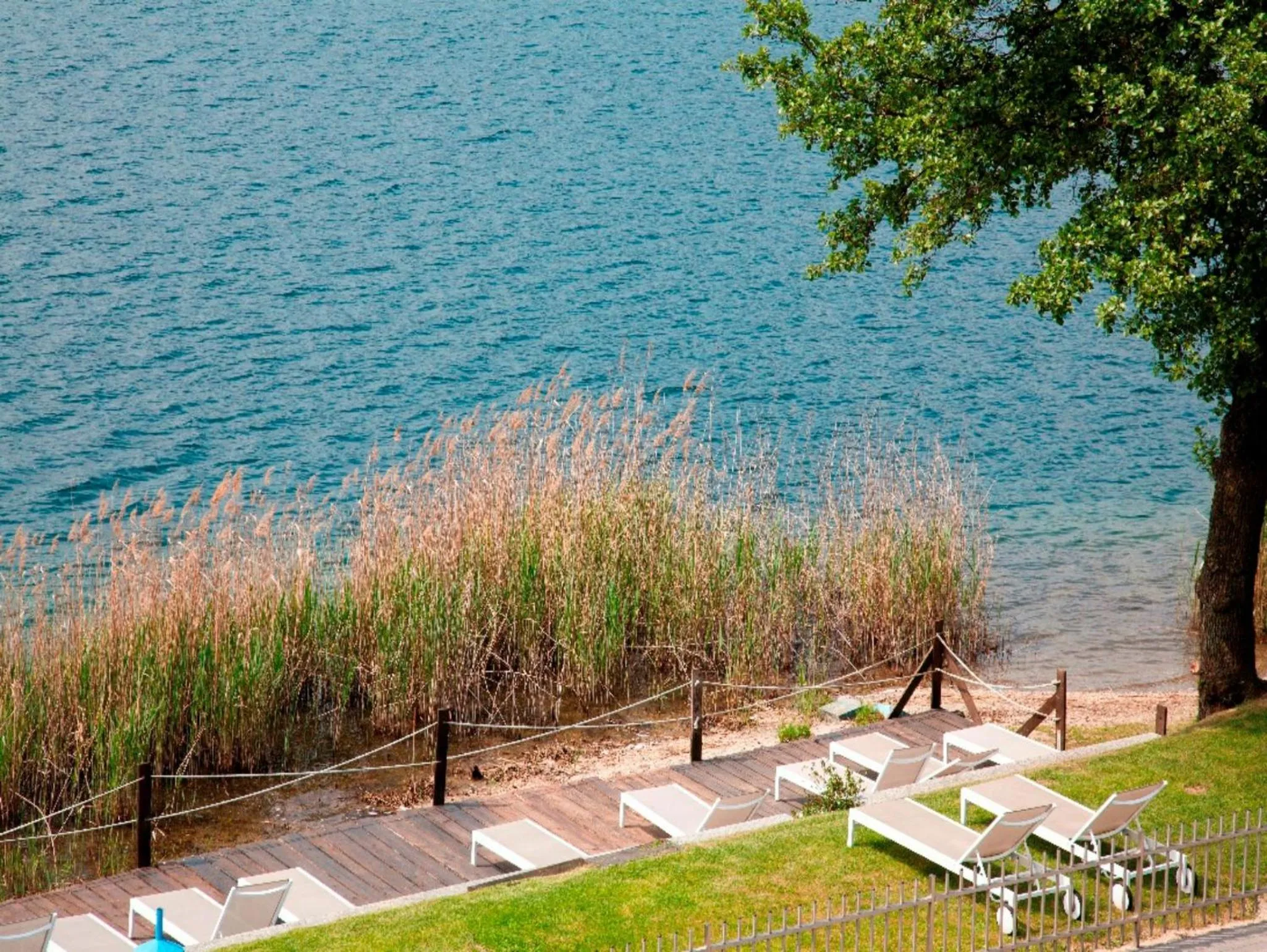 Garden in Hotel L'Approdo