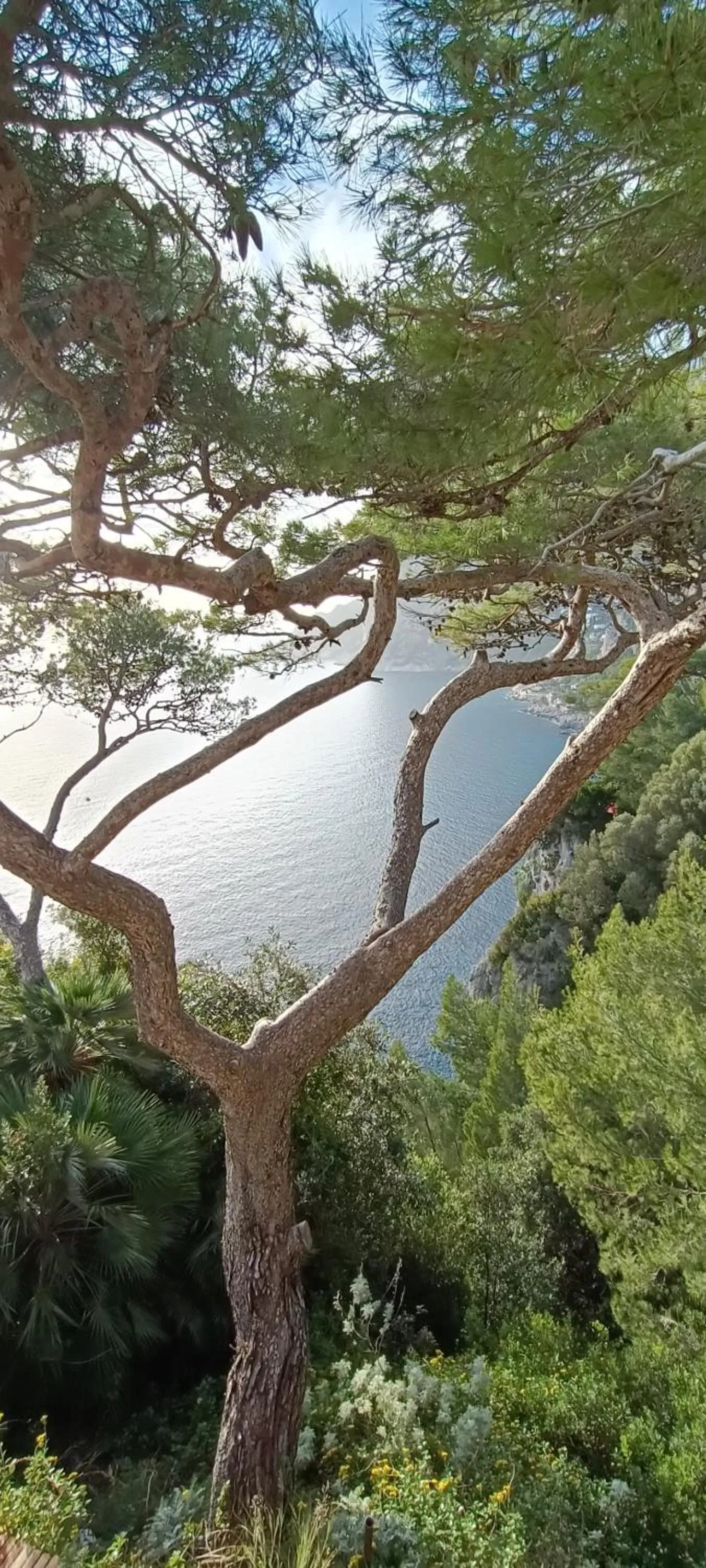 Natural landscape in MAISON SAINT MICHAEL