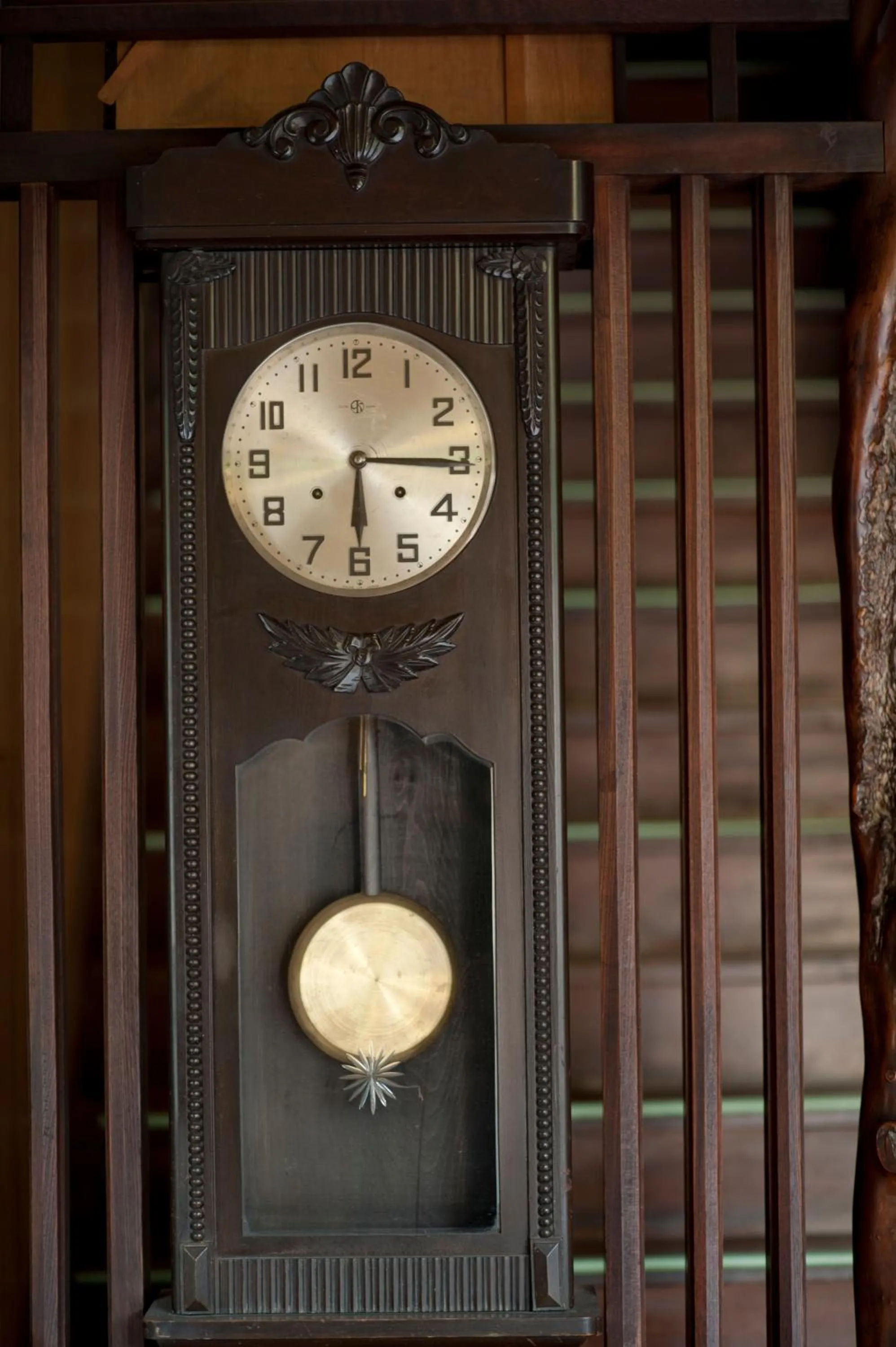 Other in Hinode Ryokan