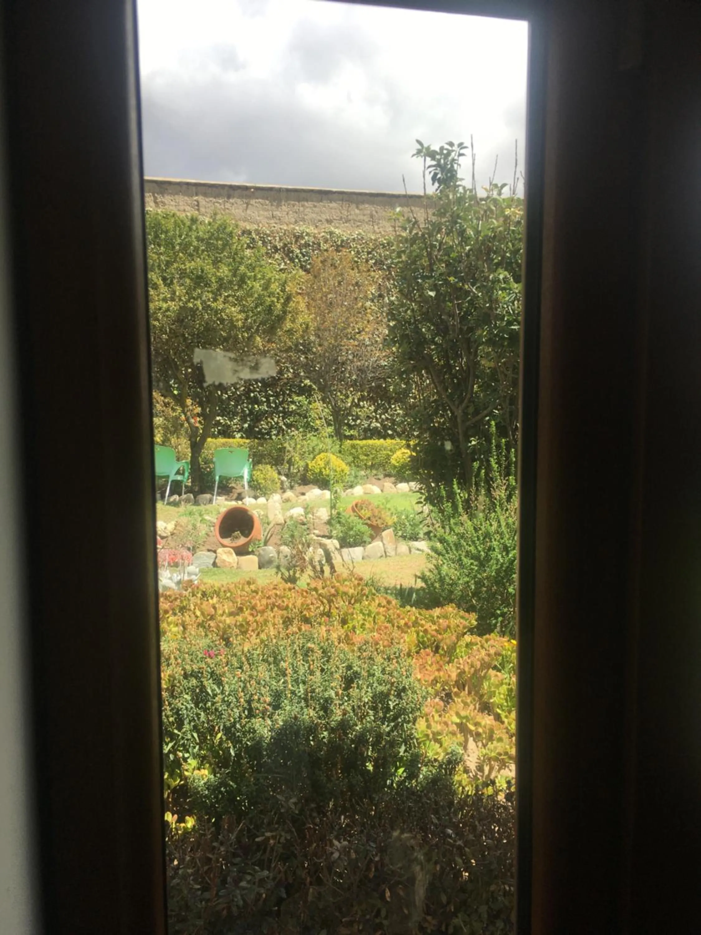 Garden view in La casa de Teresita