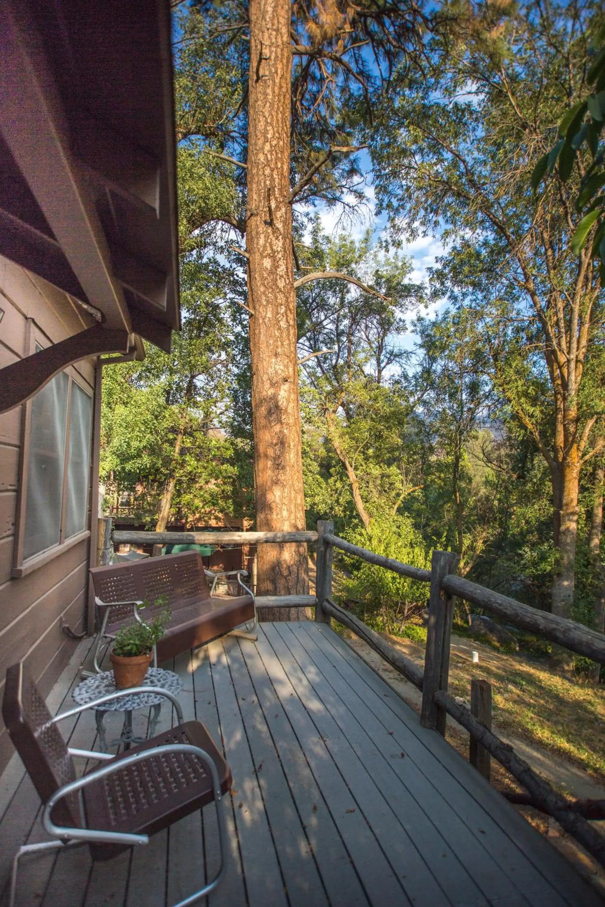 Natural landscape in Quiet Mind Lodge, Spa & Retreat Sequoias