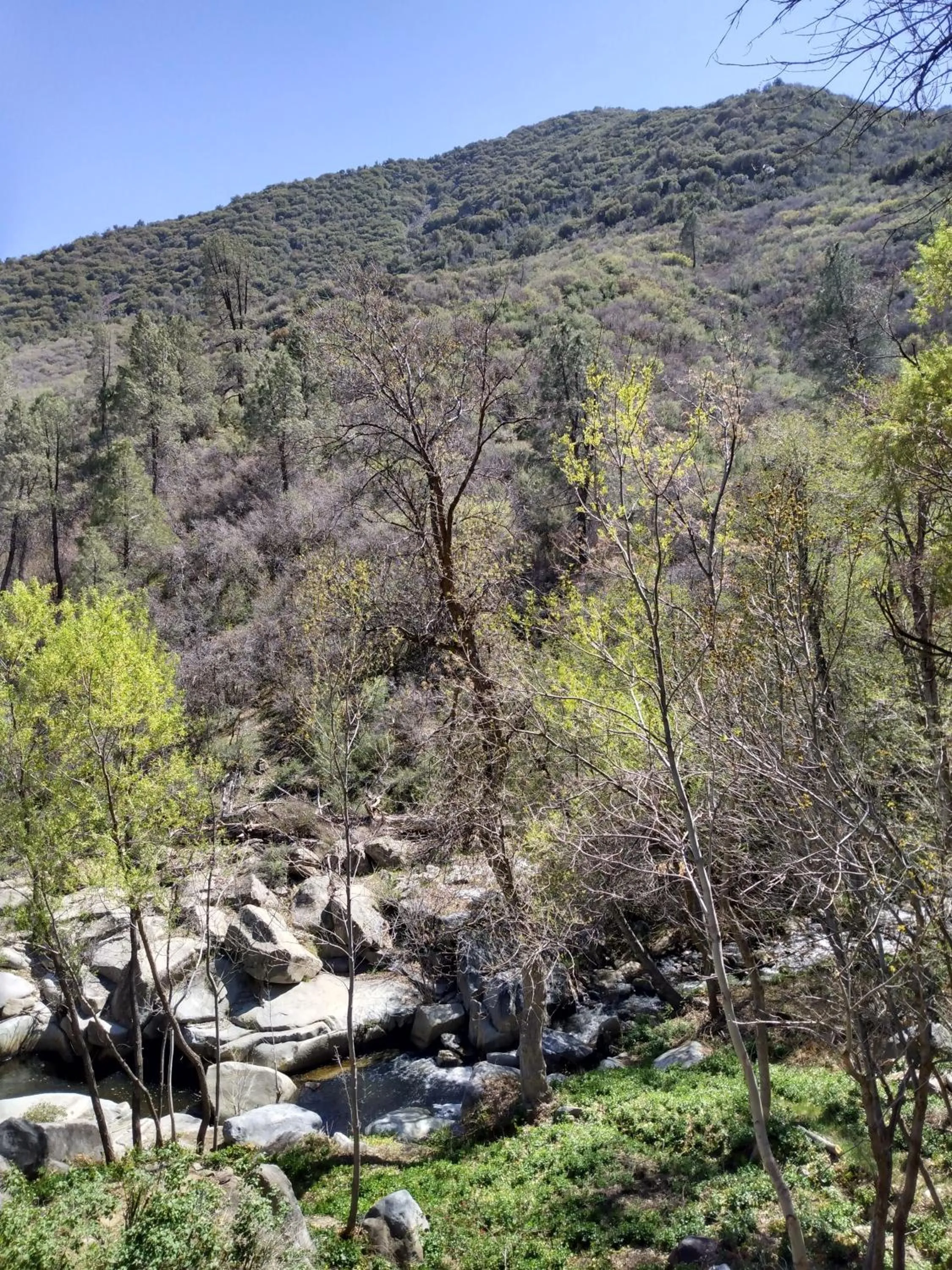 Quiet Mind Lodge, Spa & Retreat Sequoias