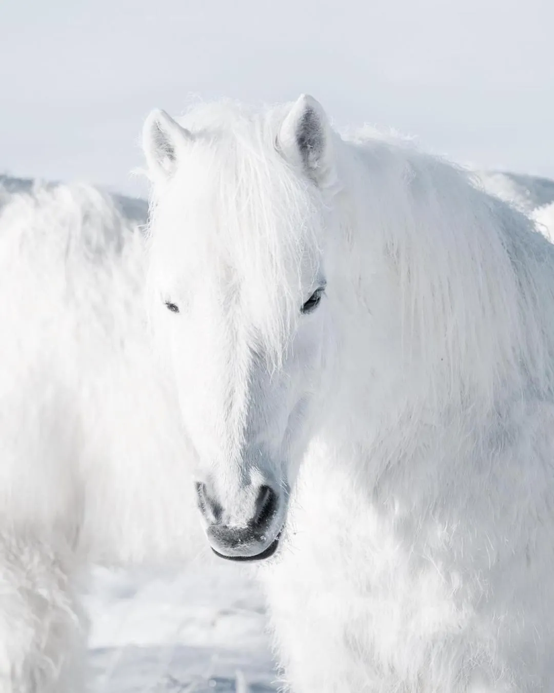 Keflavik Luxury apartment - KLA