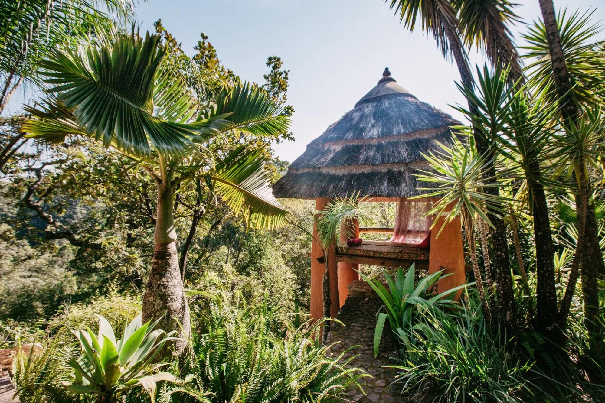 Garden in Timamoon Lodge