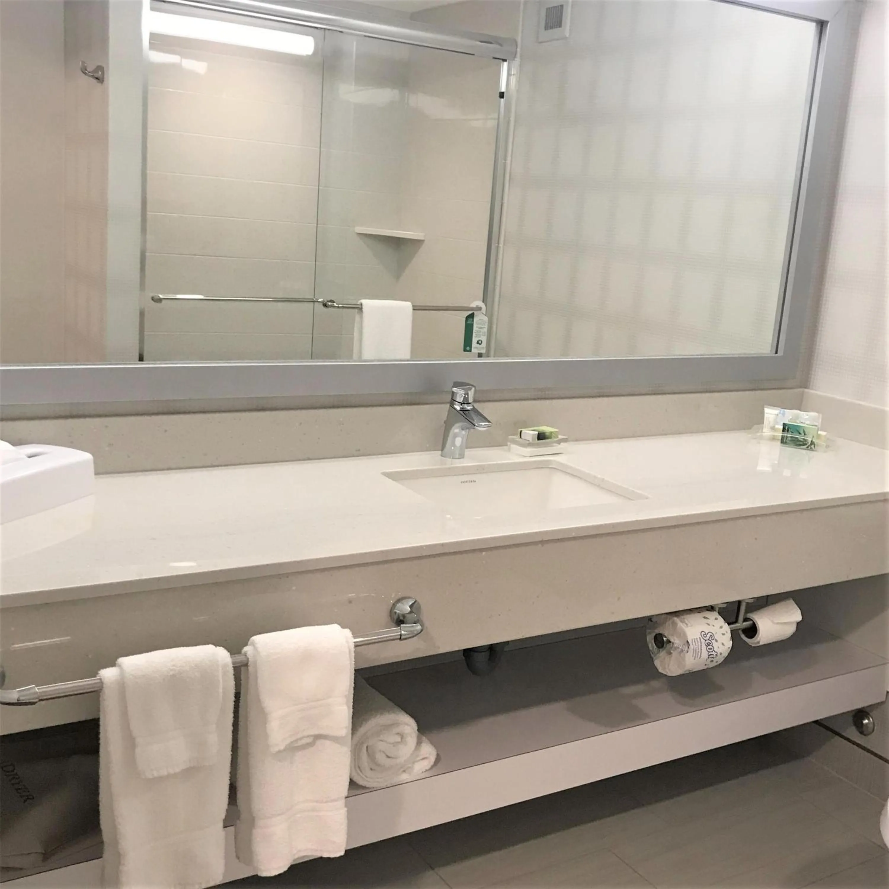 Bathroom in Birchwood Inn, BW Premier Collection