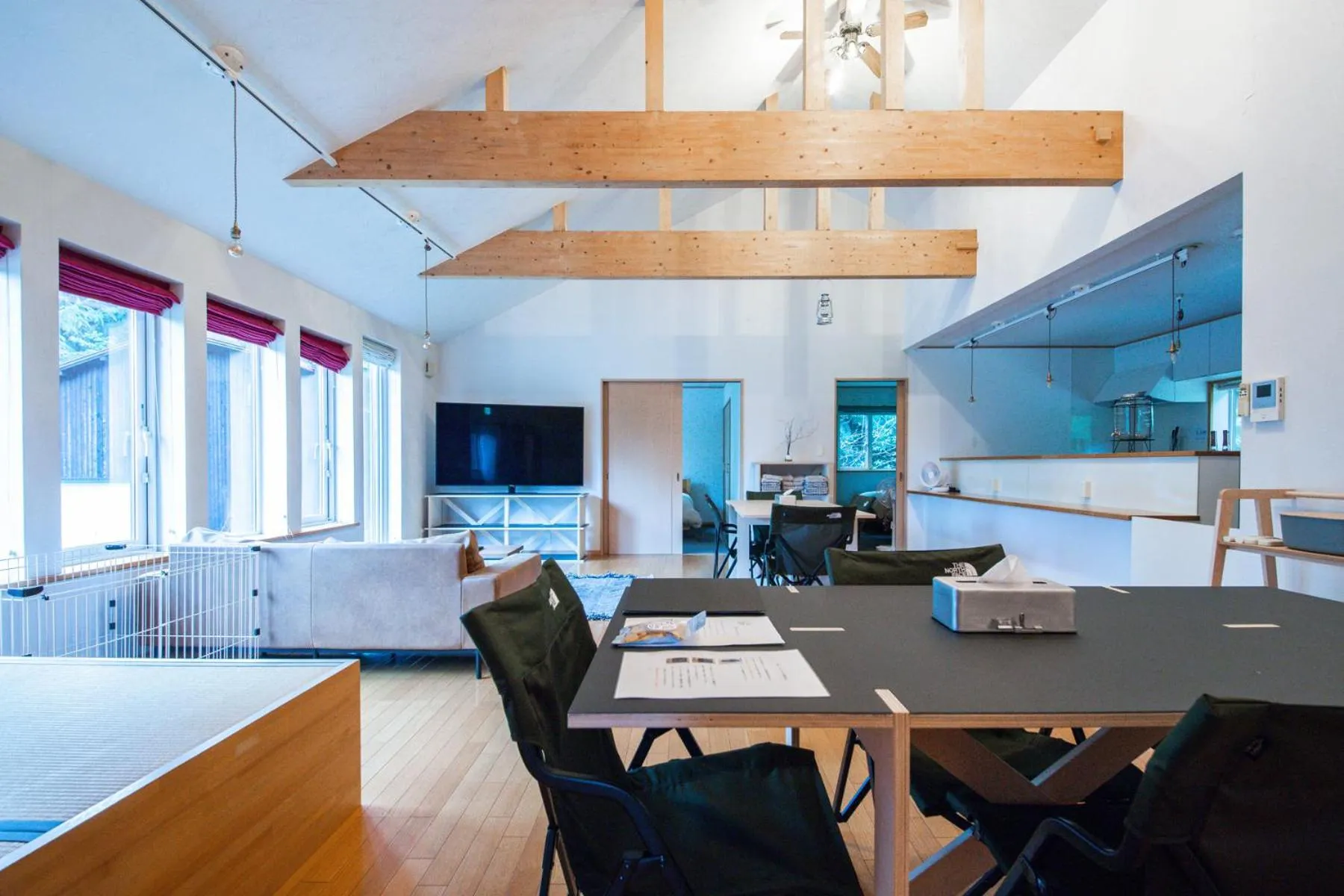 TV and multimedia in THE FAM