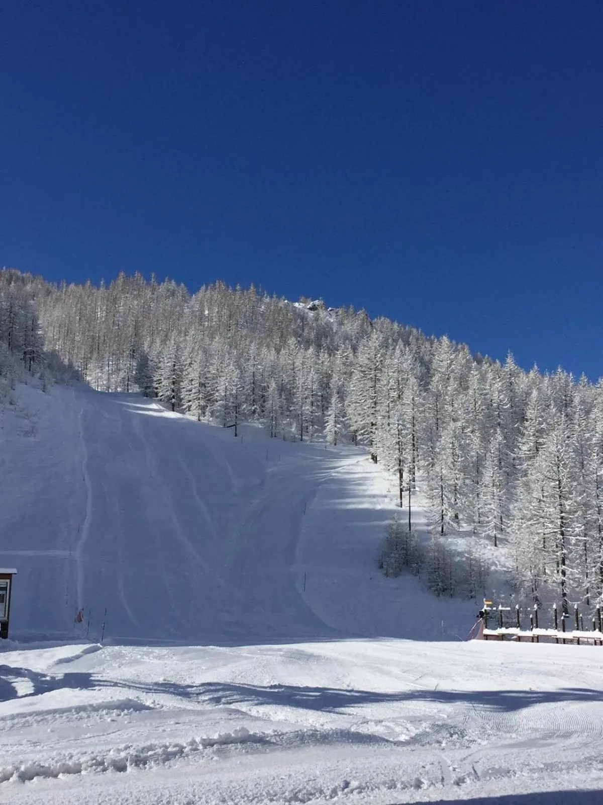 Natural landscape in BASE CAMP alpine apartments