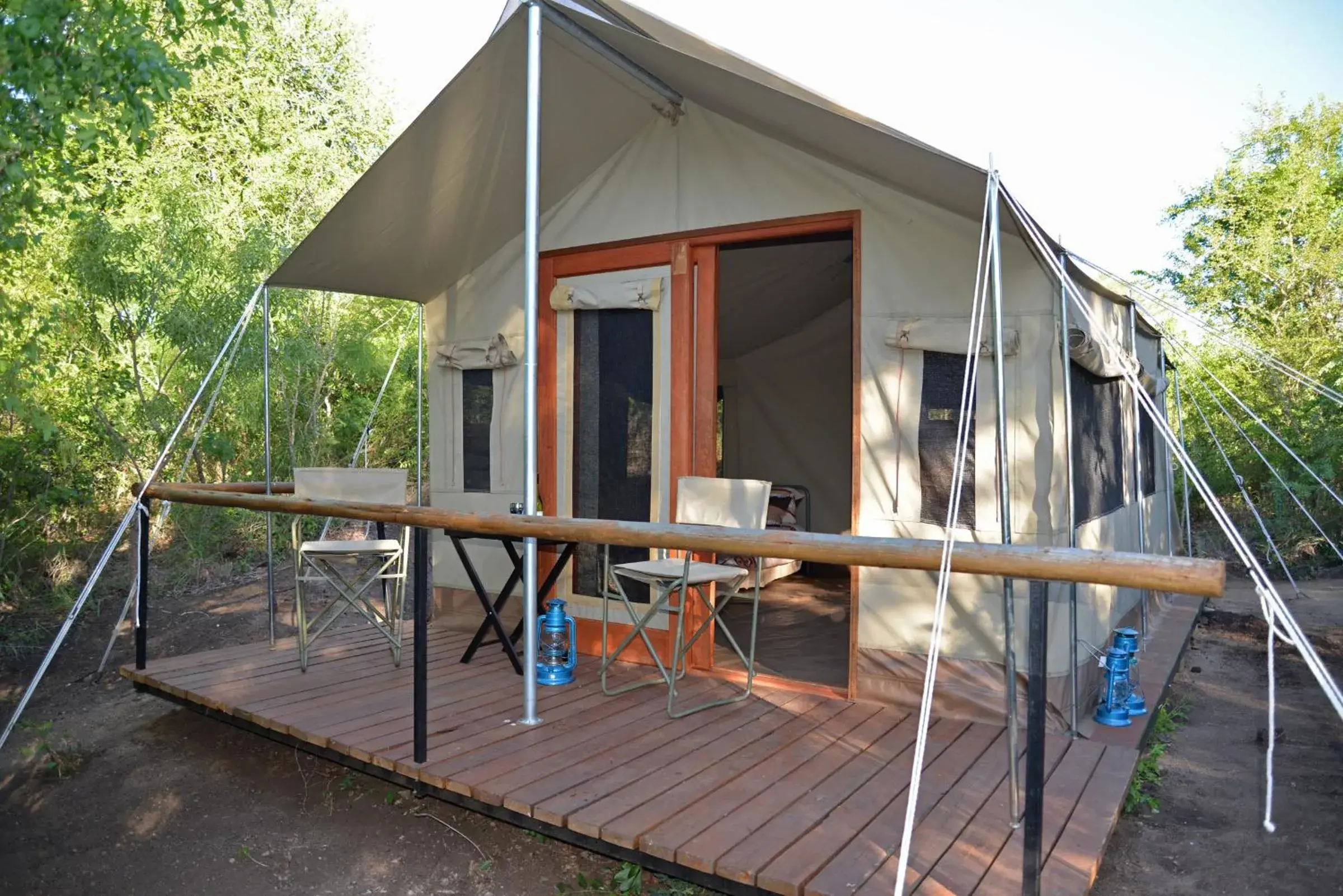 The Wild Olive Tree Camp The Wild Olive Tree Camp