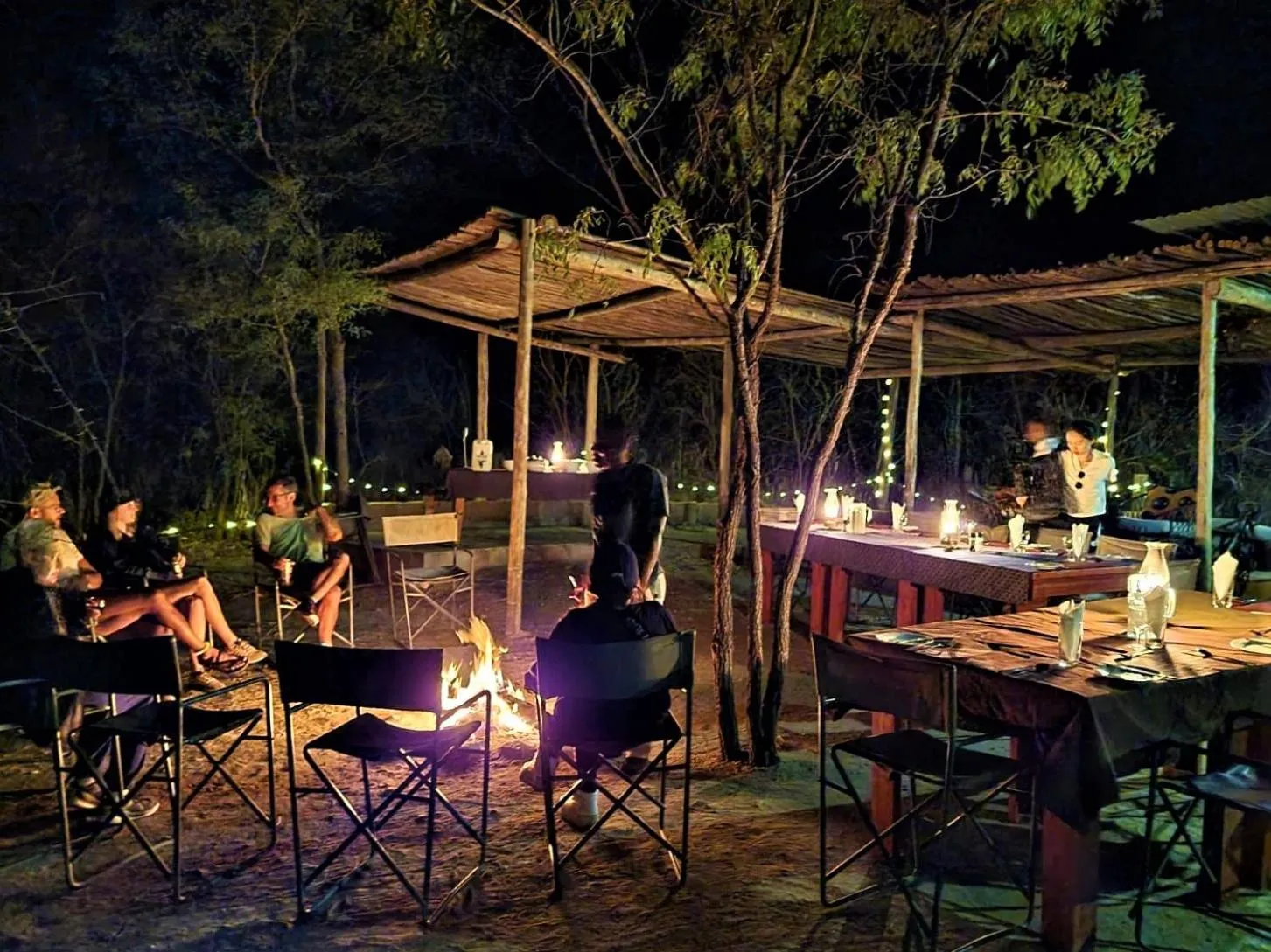 The Wild Olive Tree Camp