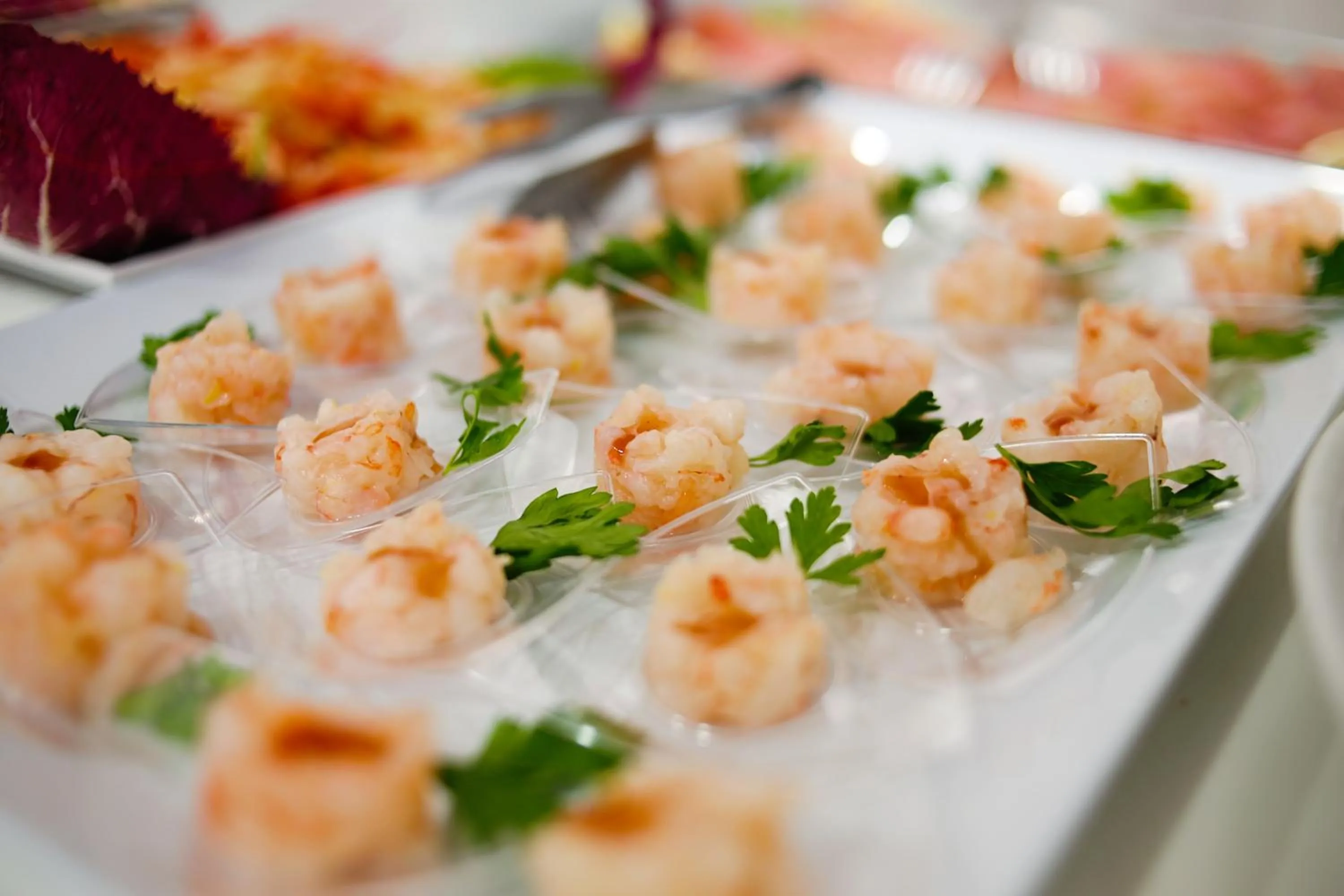 Restaurant/places to eat in Hotel Falco