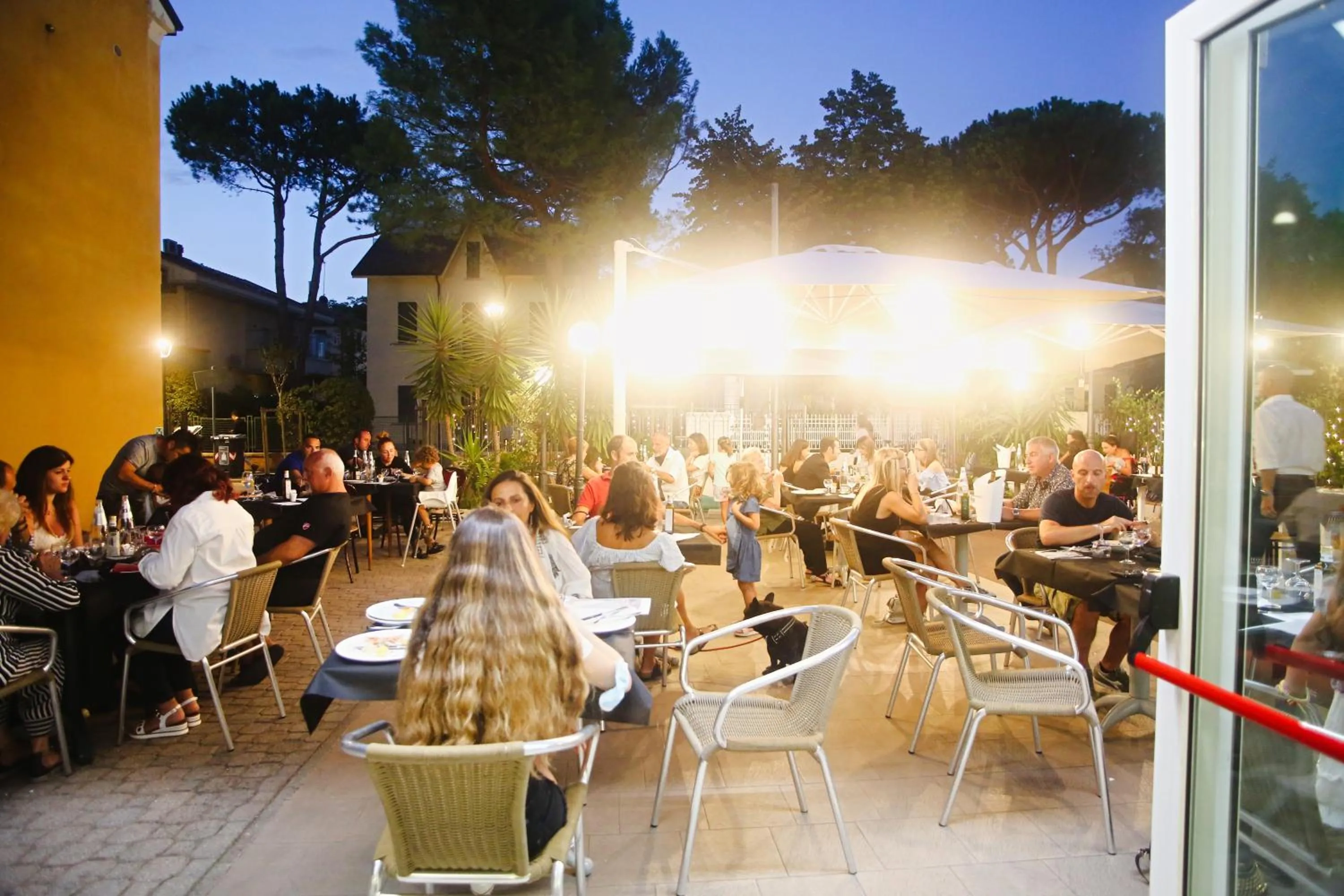 Garden in Hotel Falco