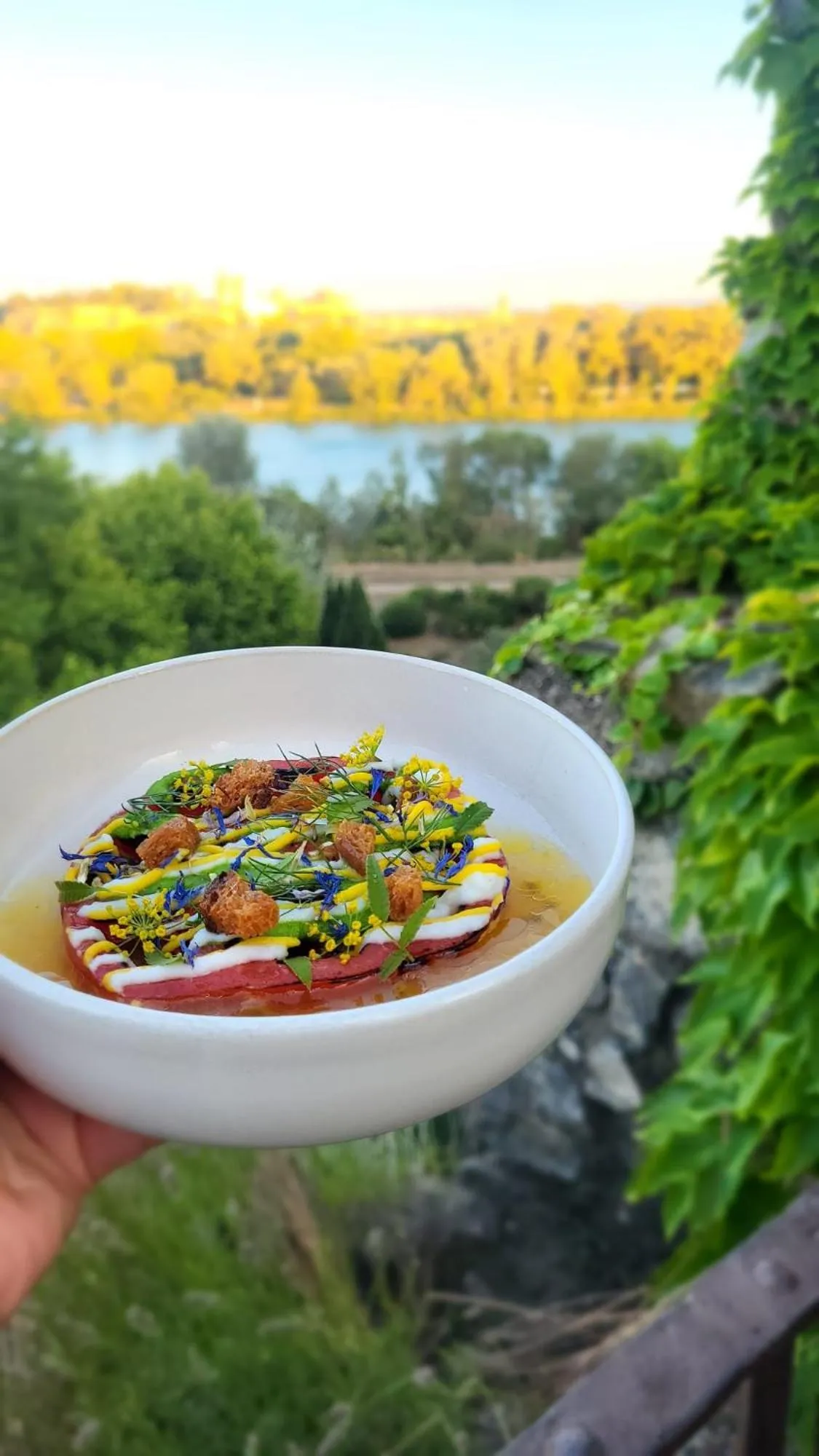 Restaurant/places to eat in Maison Orsini