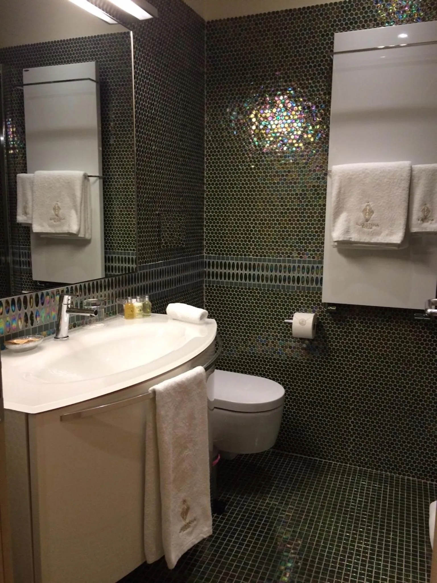 Bathroom in Augustana House and Suites