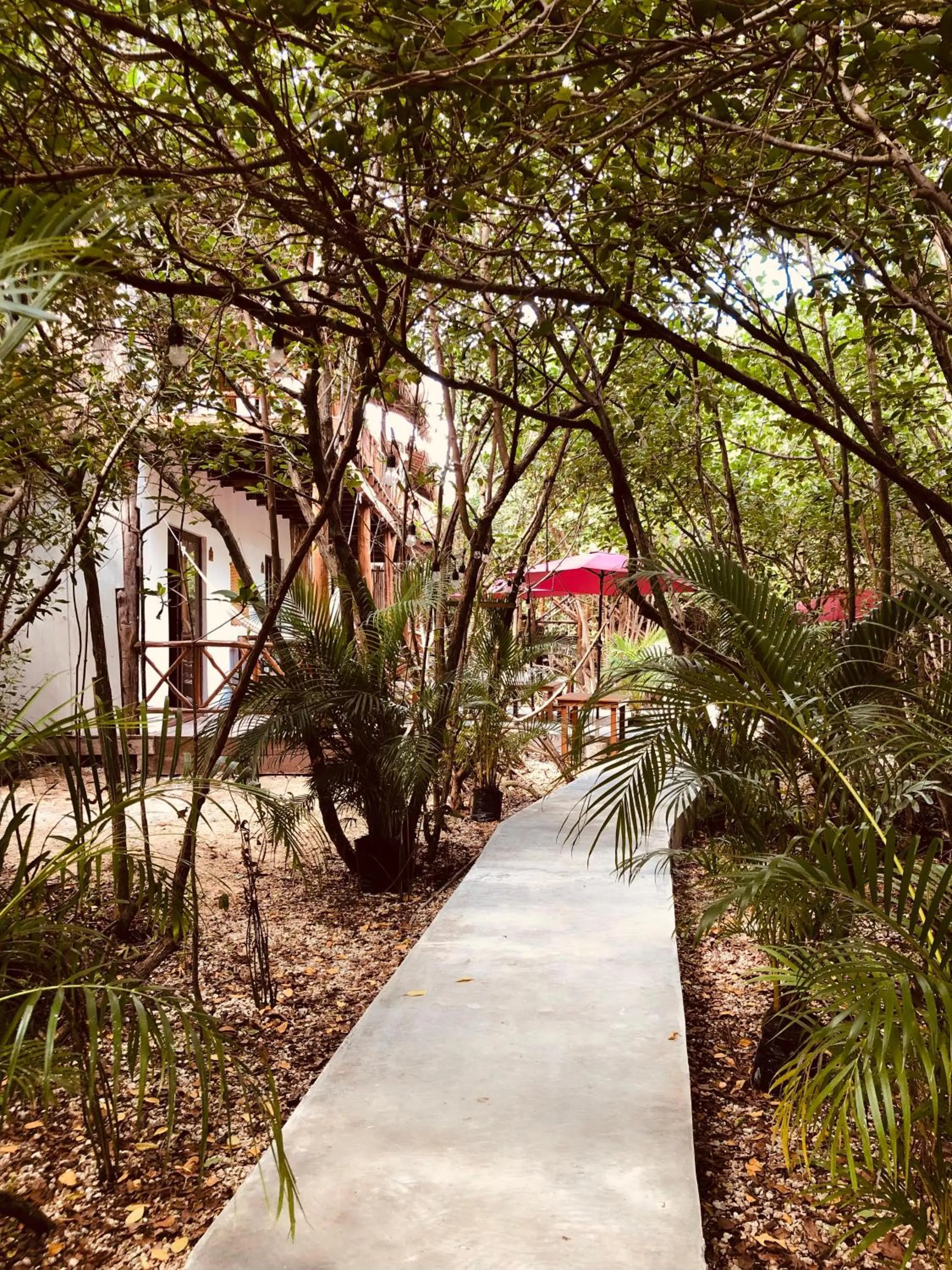 Day in Cabañas Tulum - Aldea Mangle & Cenote